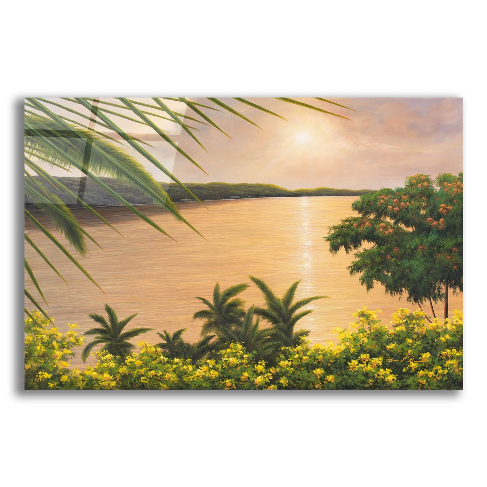 Epic Art ' Wonder of the Tropics' by Diane Romanello, Acrylic Glass Wall Art,24x16