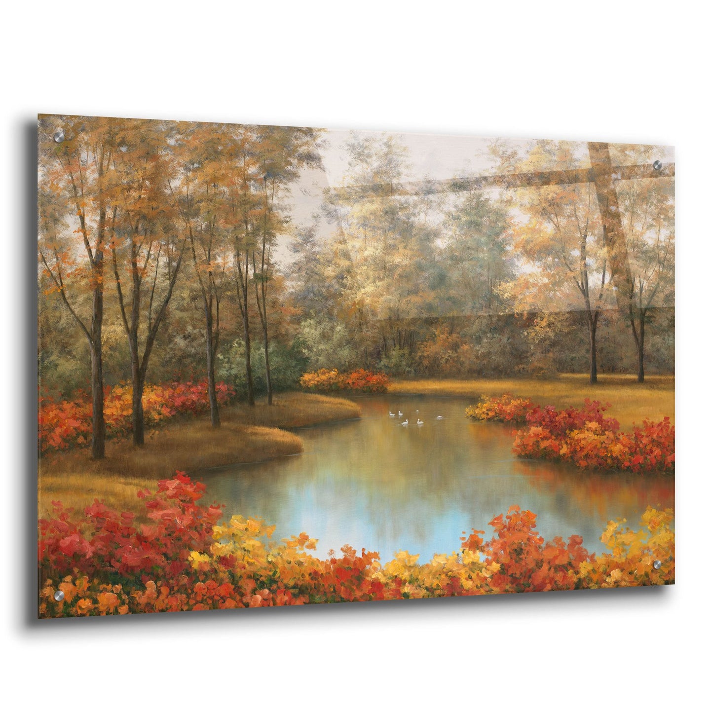 Epic Art ' Beauty of Autumn' by Diane Romanello, Acrylic Glass Wall Art,36x24