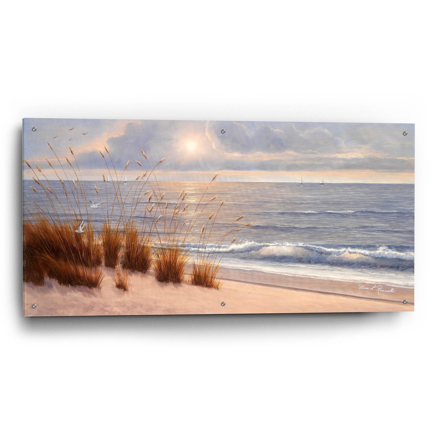 Epic Art ' Seashore' by Diane Romanello, Acrylic Glass Wall Art,48x24