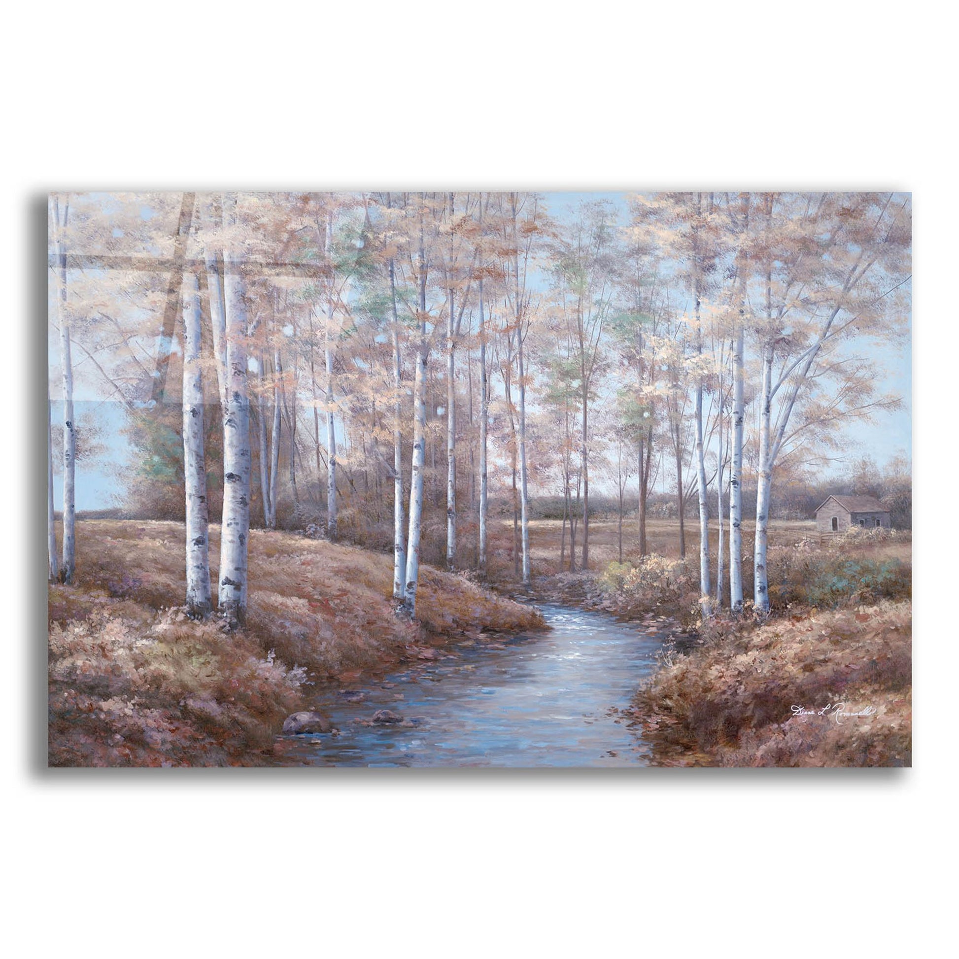 Epic Art ' Birch Creek' by Diane Romanello, Acrylic Glass Wall Art,16x12