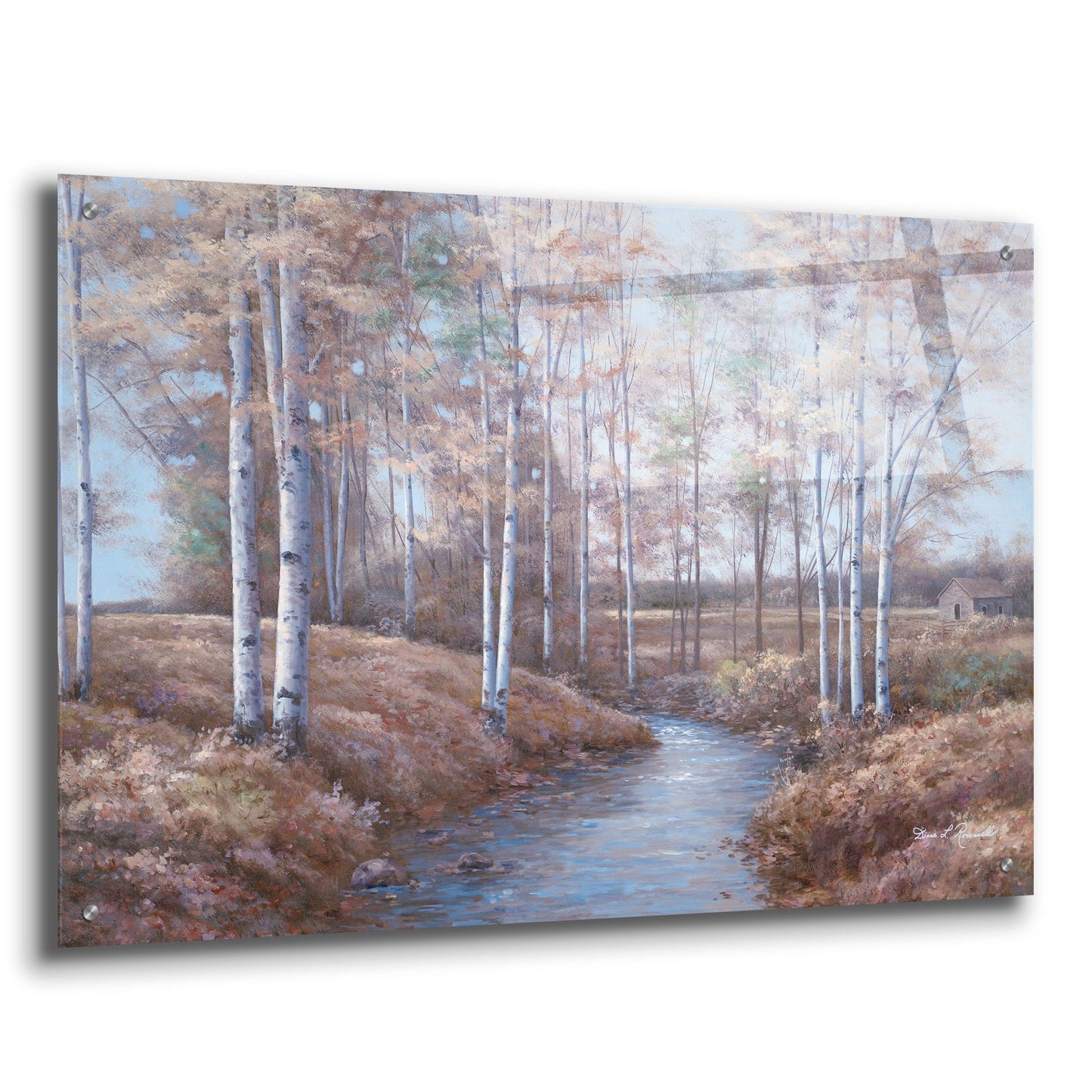 Epic Art ' Birch Creek' by Diane Romanello, Acrylic Glass Wall Art,36x24