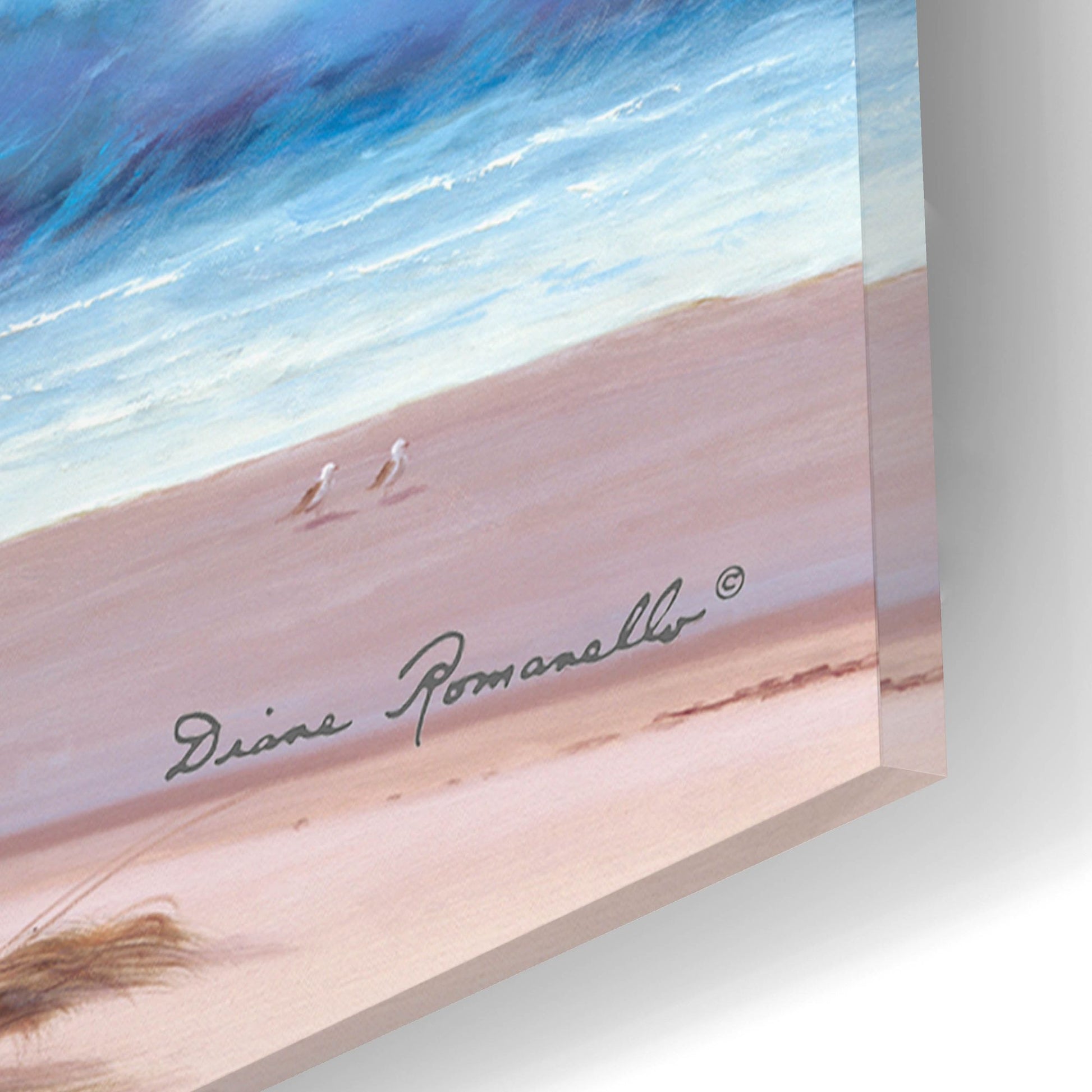 Epic Art ' Sandpiper Beach' by Diane Romanello, Acrylic Glass Wall Art,16x12