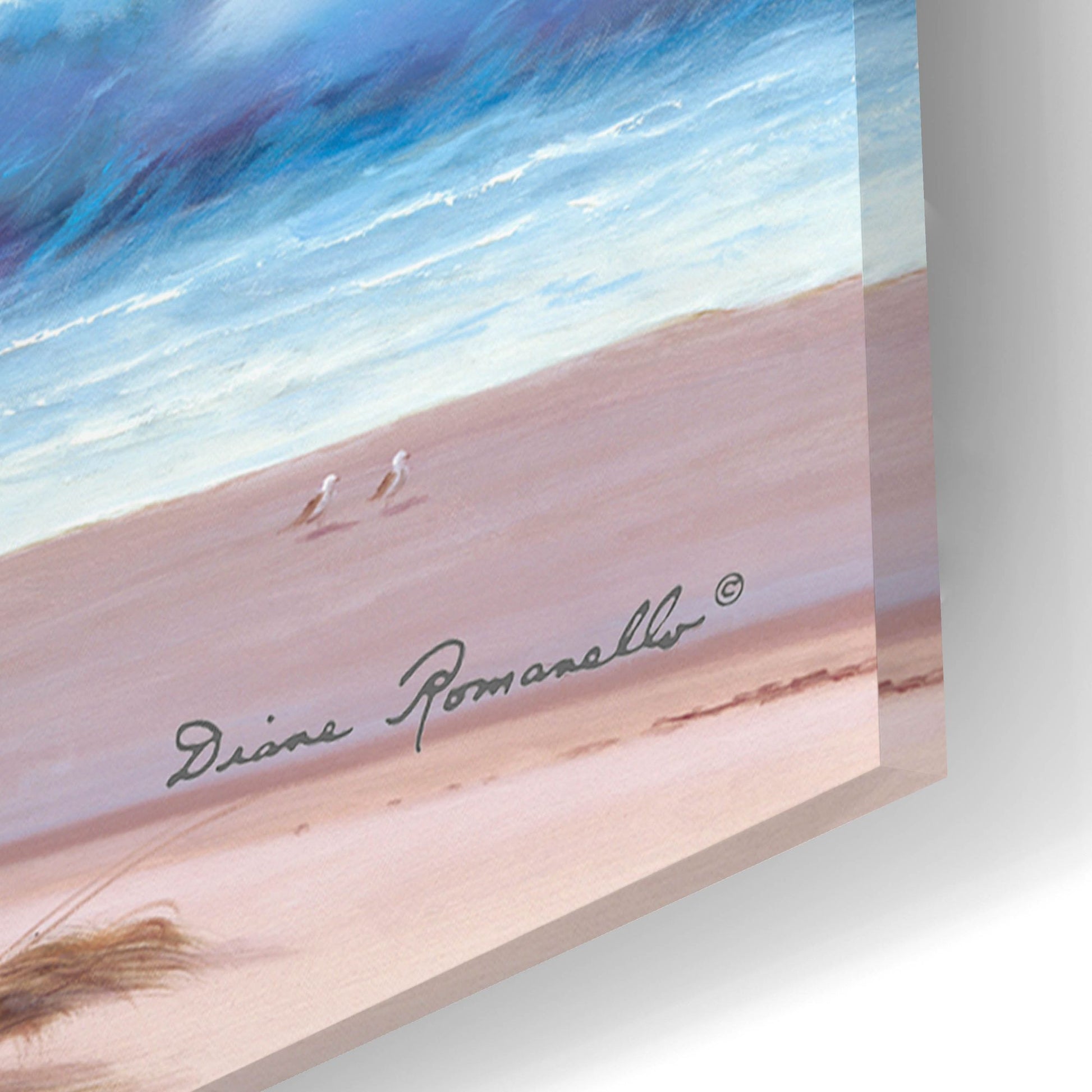 Epic Art ' Sandpiper Beach' by Diane Romanello, Acrylic Glass Wall Art,24x16