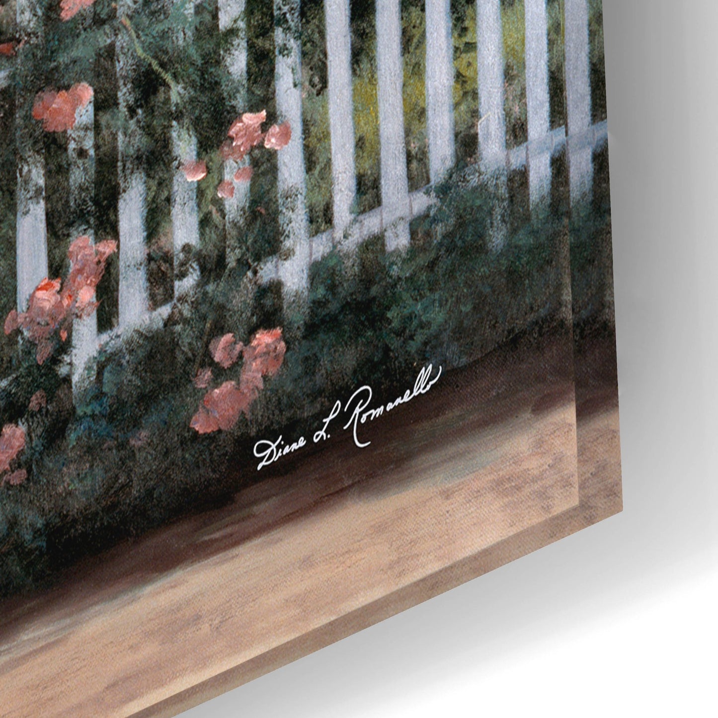 Epic Art ' Rose Trellis' by Diane Romanello, Acrylic Glass Wall Art,24x16