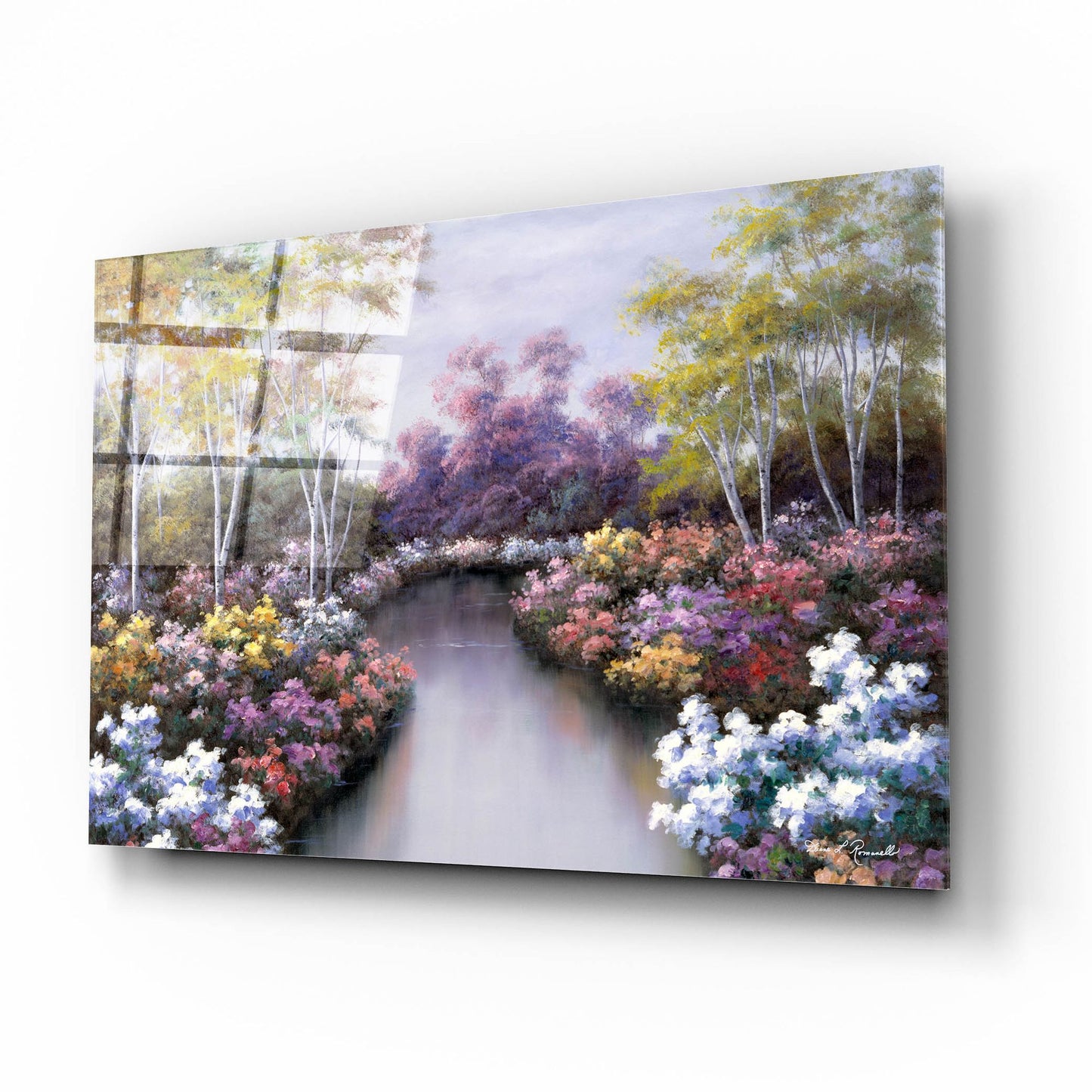 Epic Art ' Floral Fantasy' by Diane Romanello, Acrylic Glass Wall Art,16x12