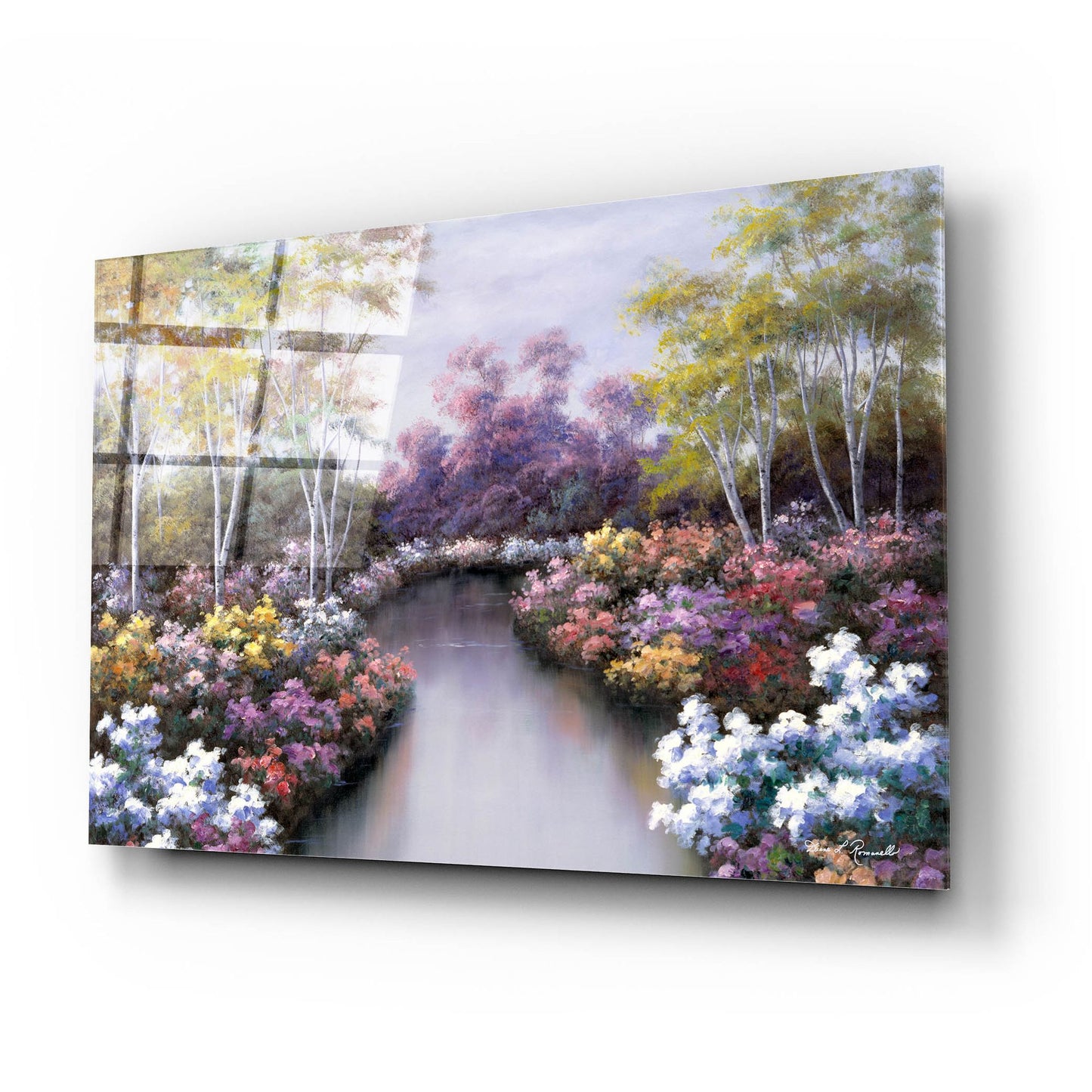 Epic Art ' Floral Fantasy' by Diane Romanello, Acrylic Glass Wall Art,24x16