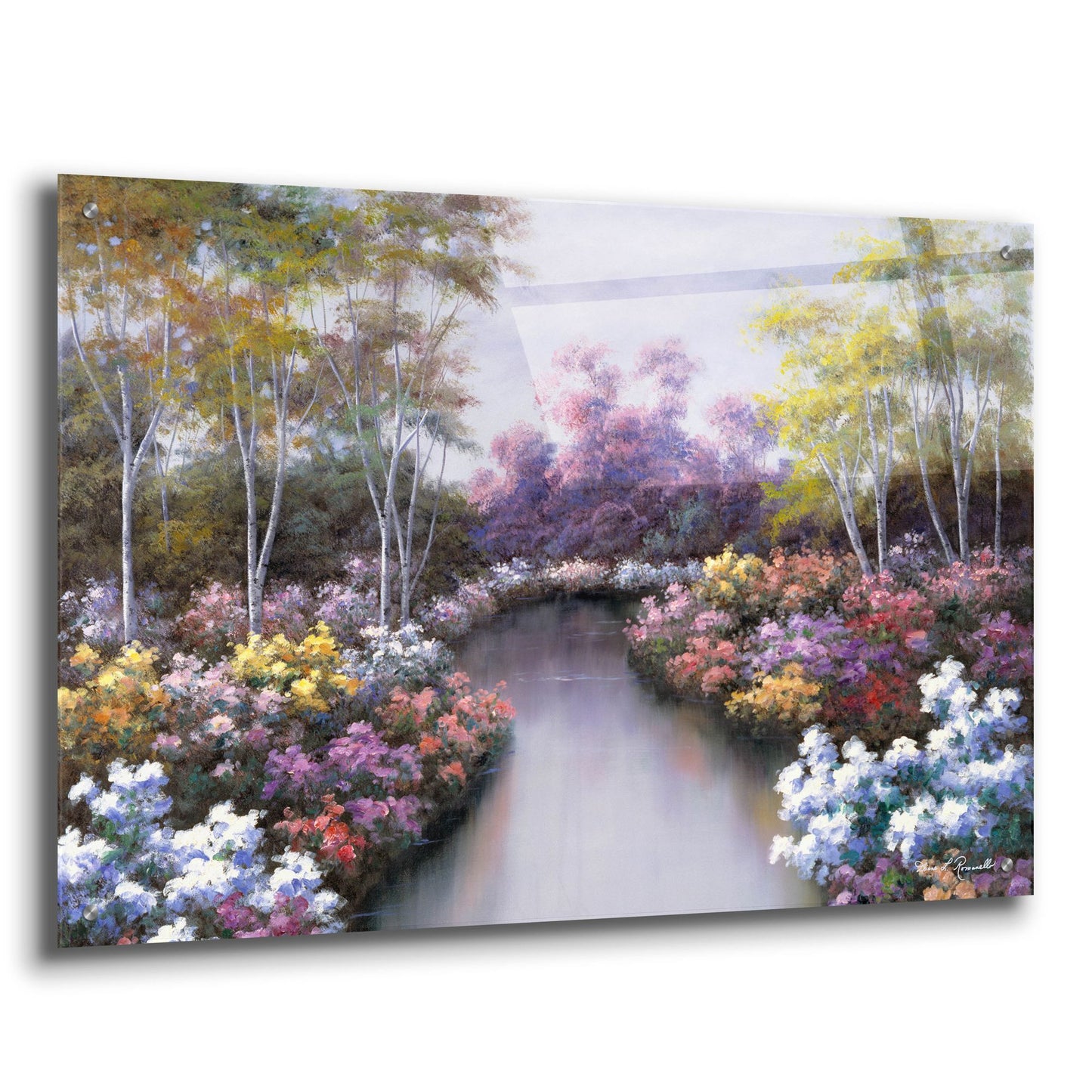 Epic Art ' Floral Fantasy' by Diane Romanello, Acrylic Glass Wall Art,36x24