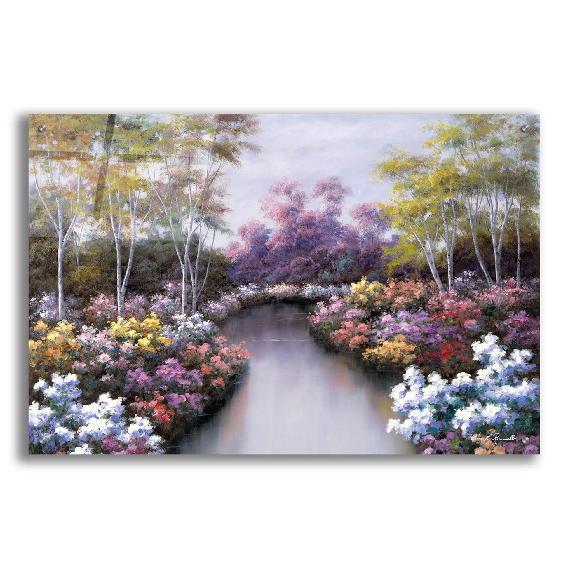 Epic Art ' Floral Fantasy' by Diane Romanello, Acrylic Glass Wall Art,36x24