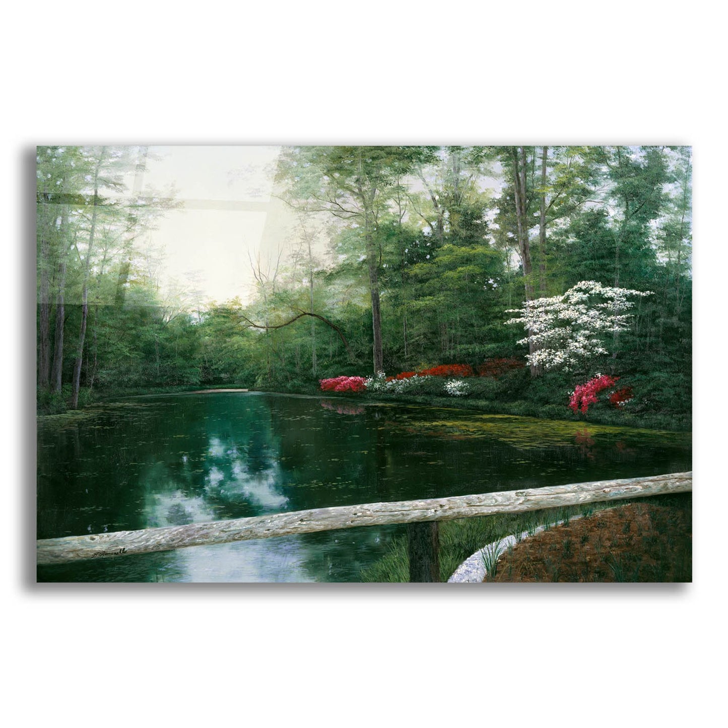 Epic Art ' Beauty' by Diane Romanello, Acrylic Glass Wall Art,16x12