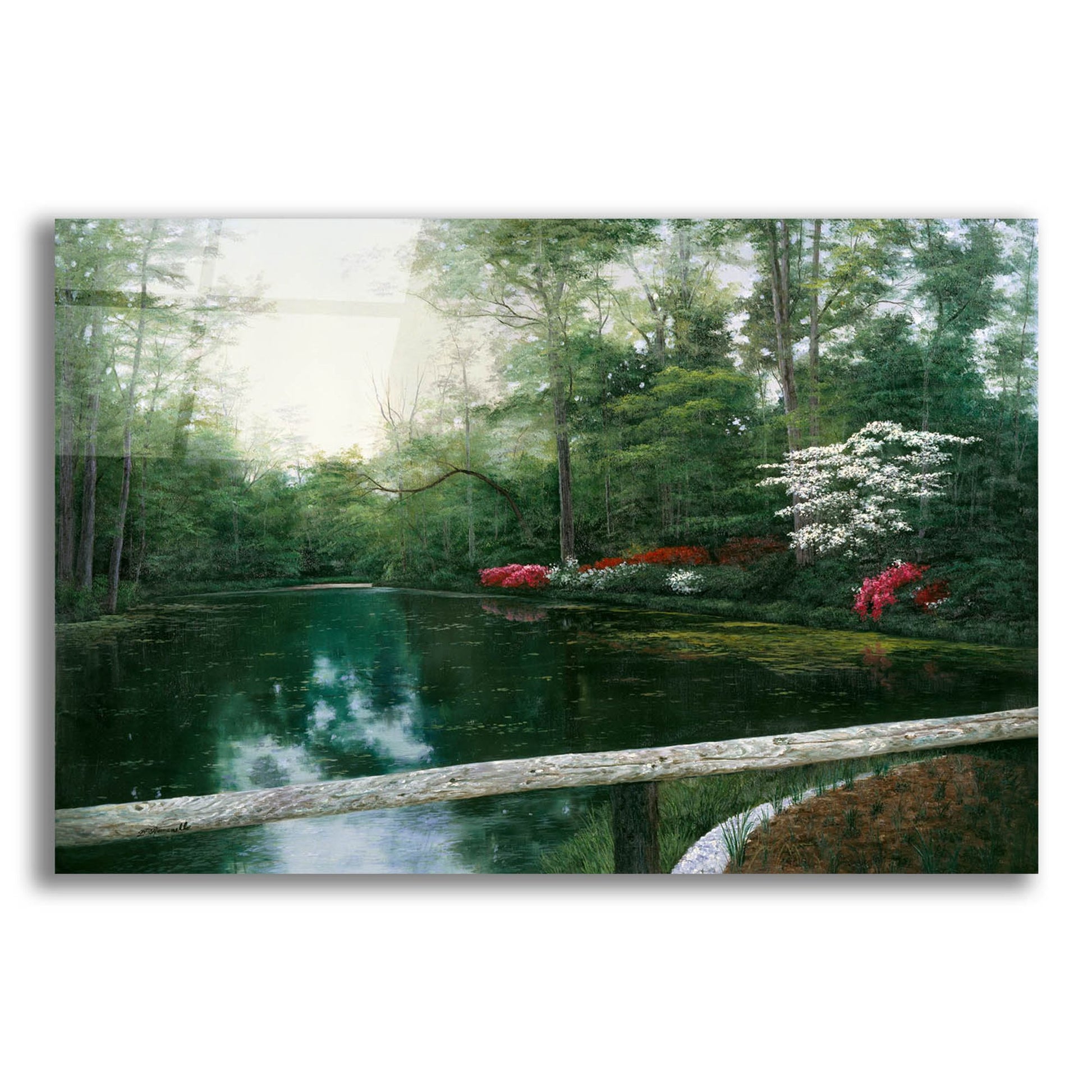 Epic Art ' Beauty' by Diane Romanello, Acrylic Glass Wall Art,24x16