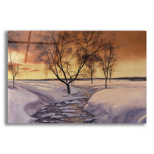 Epic Art ' Amber Ice' by Diane Romanello, Acrylic Glass Wall Art