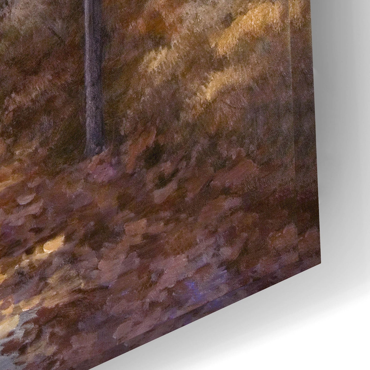 Epic Art ' Quiet Walk' by Diane Romanello, Acrylic Glass Wall Art,24x16