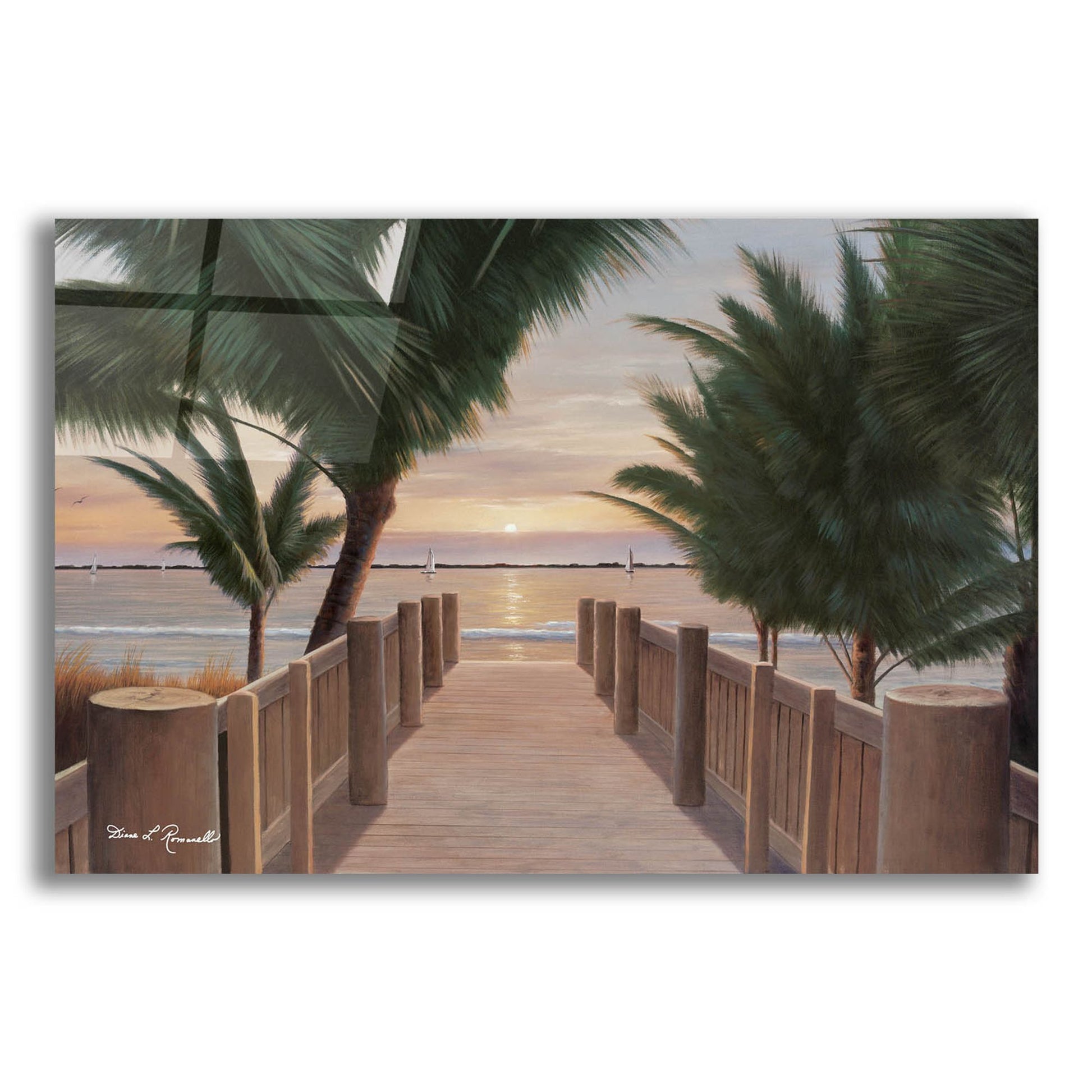 Epic Art ' Palm Promenade' by Diane Romanello, Acrylic Glass Wall Art,16x12