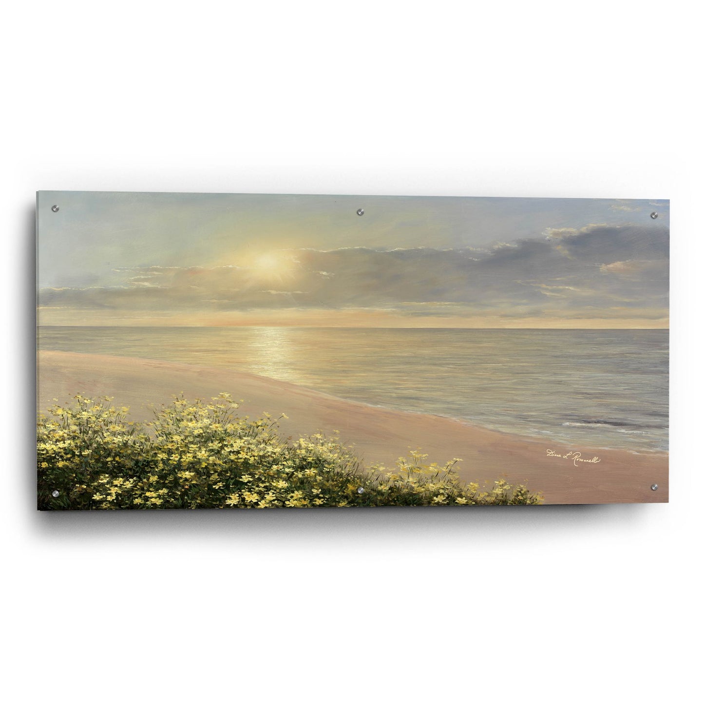 Epic Art ' Peaceful Waters' by Diane Romanello, Acrylic Glass Wall Art,48x24