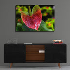 Epic Art ' Antherium' by Don Spears, Acrylic Glass Wall Art,36x24