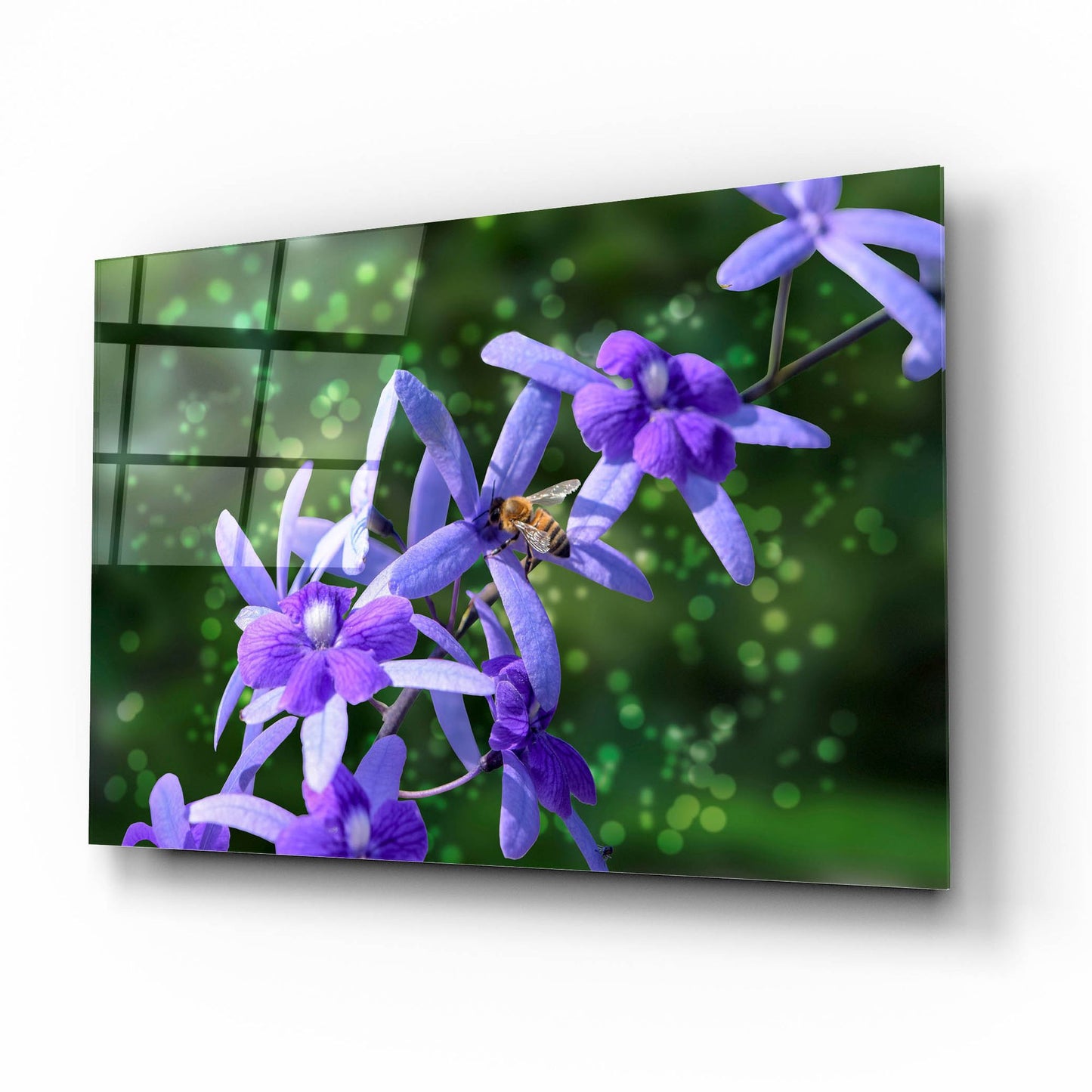 Epic Art ' Bee and Purple Flowers' by Don Spears, Acrylic Glass Wall Art,16x12