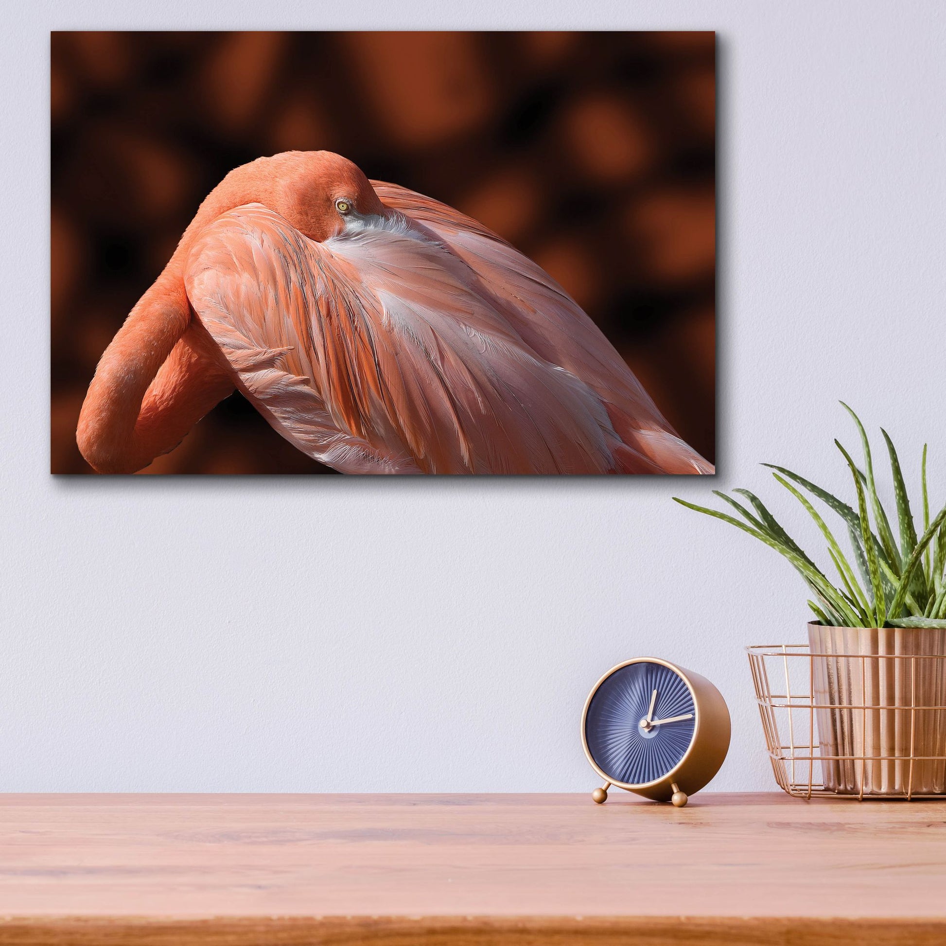 Epic Art ' Flamingo' by Don Spears, Acrylic Glass Wall Art,16x12