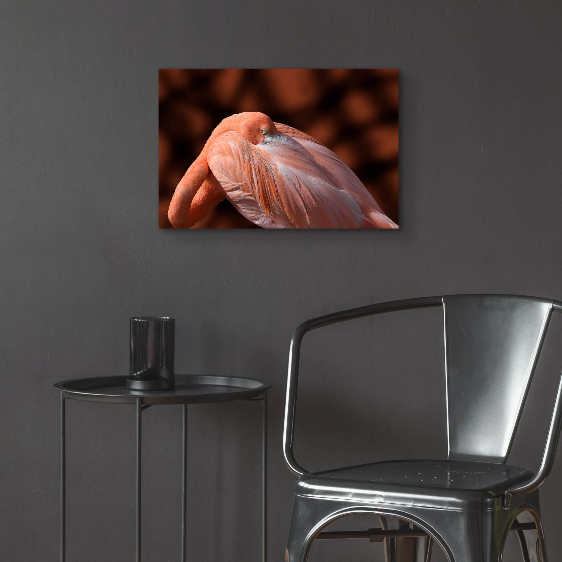 Epic Art ' Flamingo' by Don Spears, Acrylic Glass Wall Art,24x16