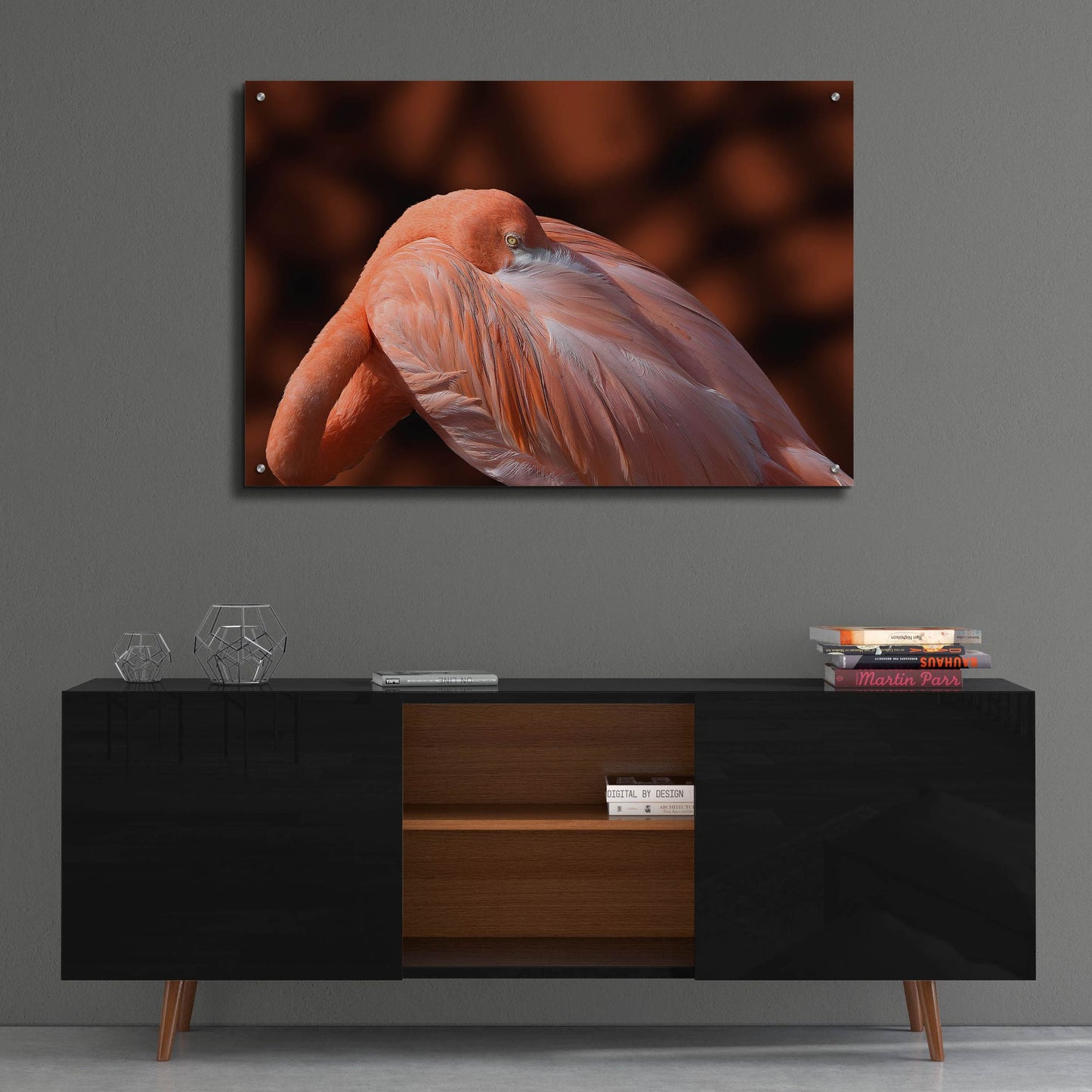 Epic Art ' Flamingo' by Don Spears, Acrylic Glass Wall Art,36x24