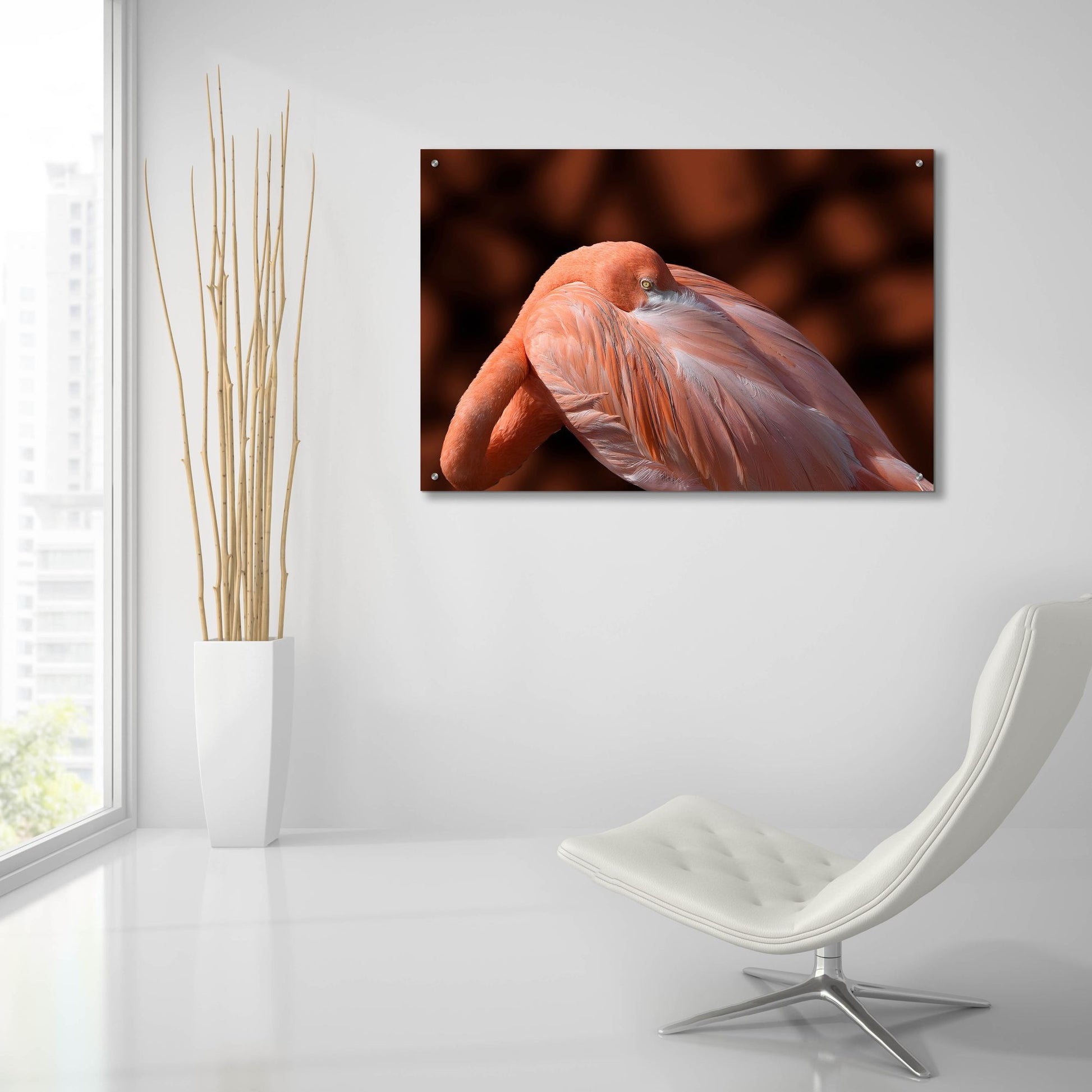 Epic Art ' Flamingo' by Don Spears, Acrylic Glass Wall Art,36x24