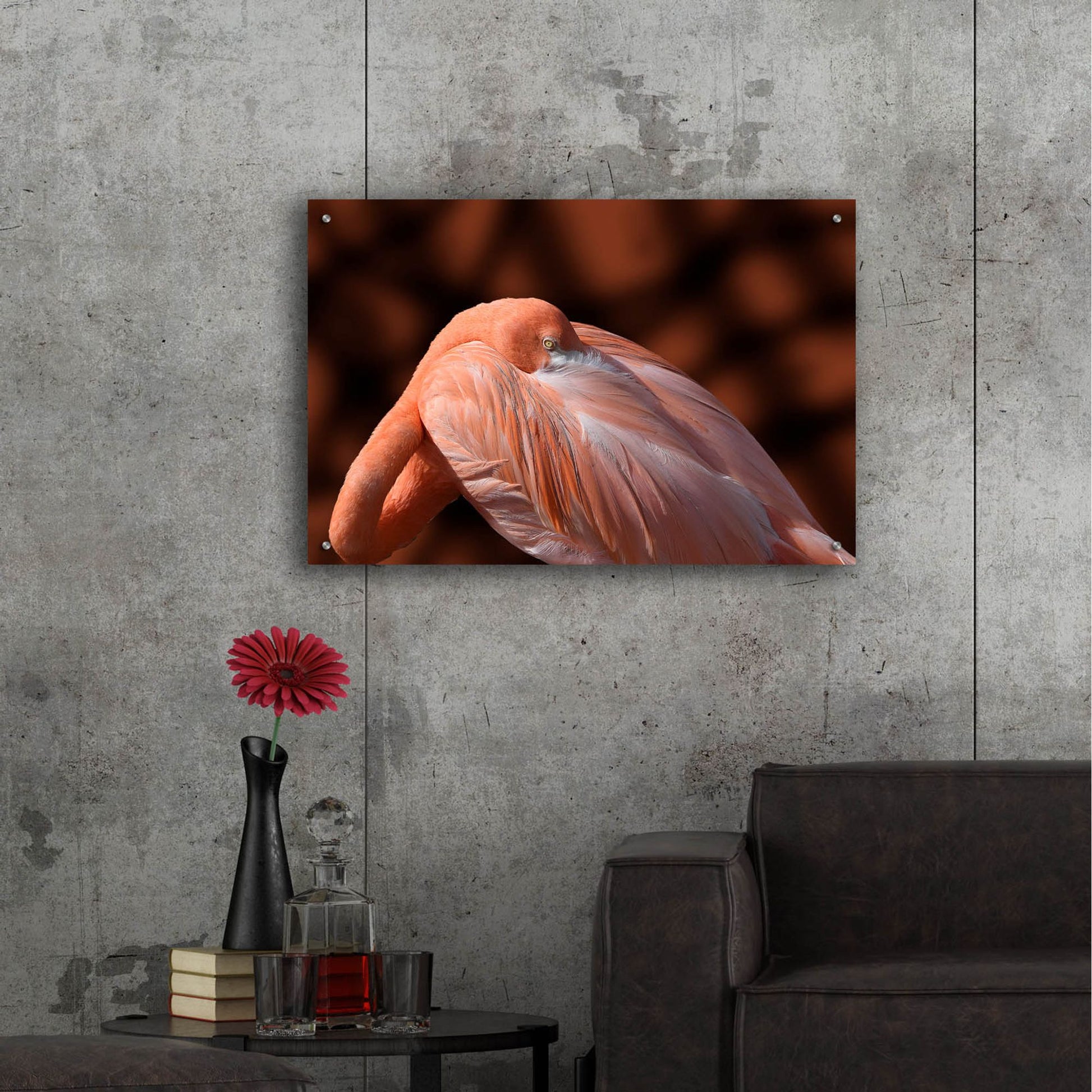 Epic Art ' Flamingo' by Don Spears, Acrylic Glass Wall Art,36x24