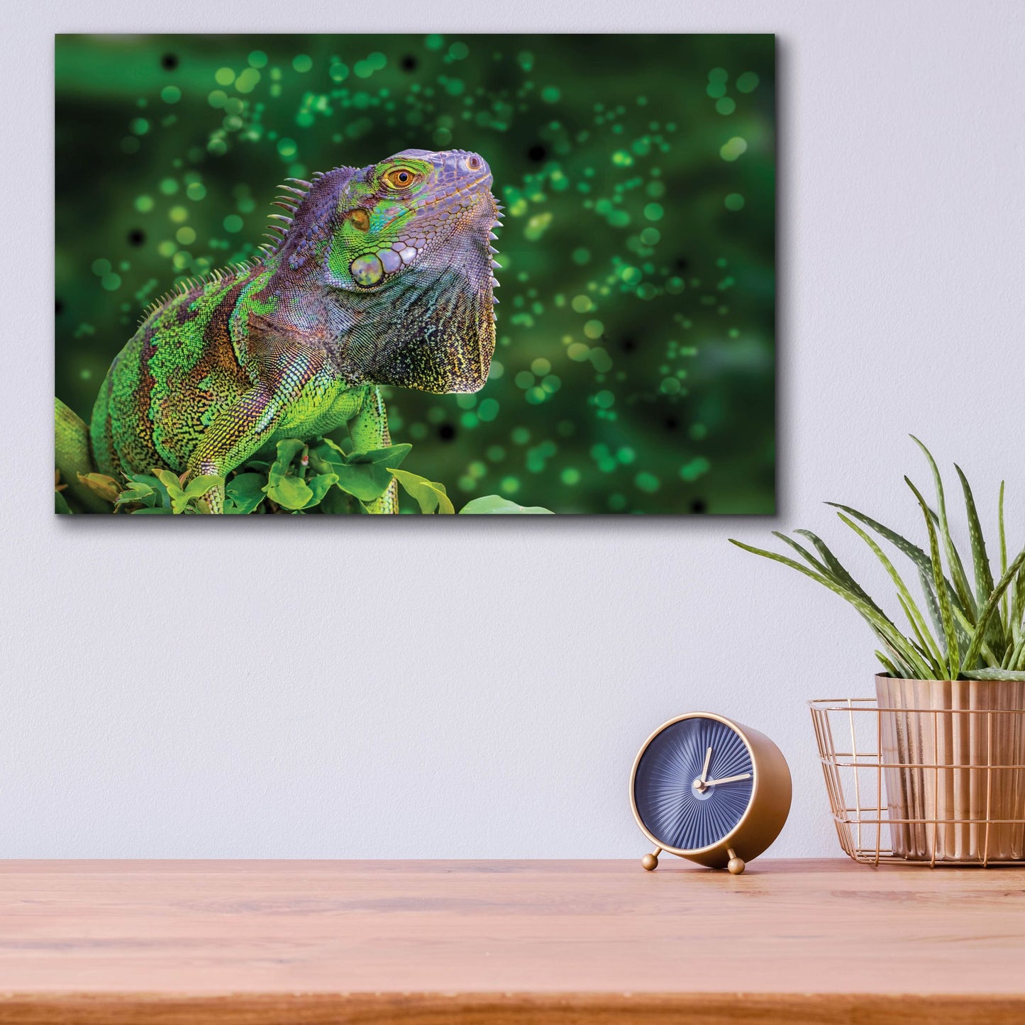 Epic Art ' Green Iguana' by Don Spears, Acrylic Glass Wall Art,16x12