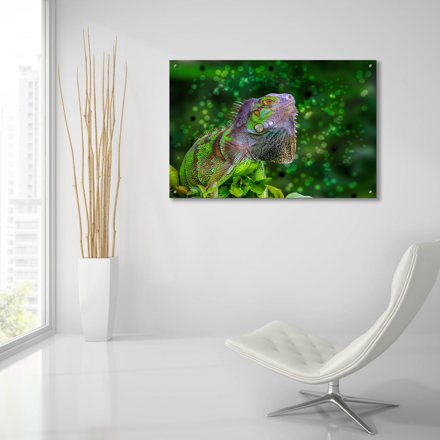 Epic Art ' Green Iguana' by Don Spears, Acrylic Glass Wall Art,36x24