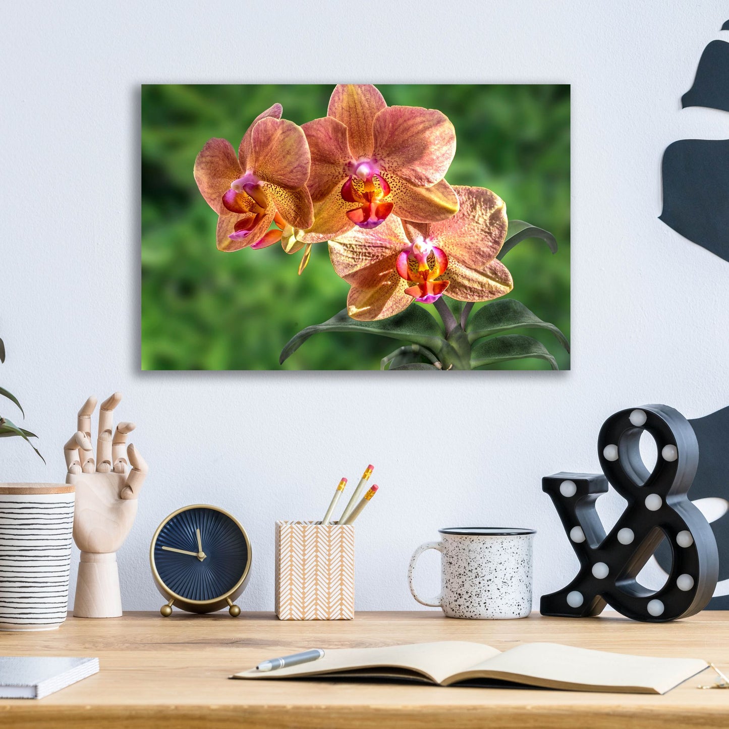 Epic Art ' Orange Orchid' by Don Spears, Acrylic Glass Wall Art,16x12