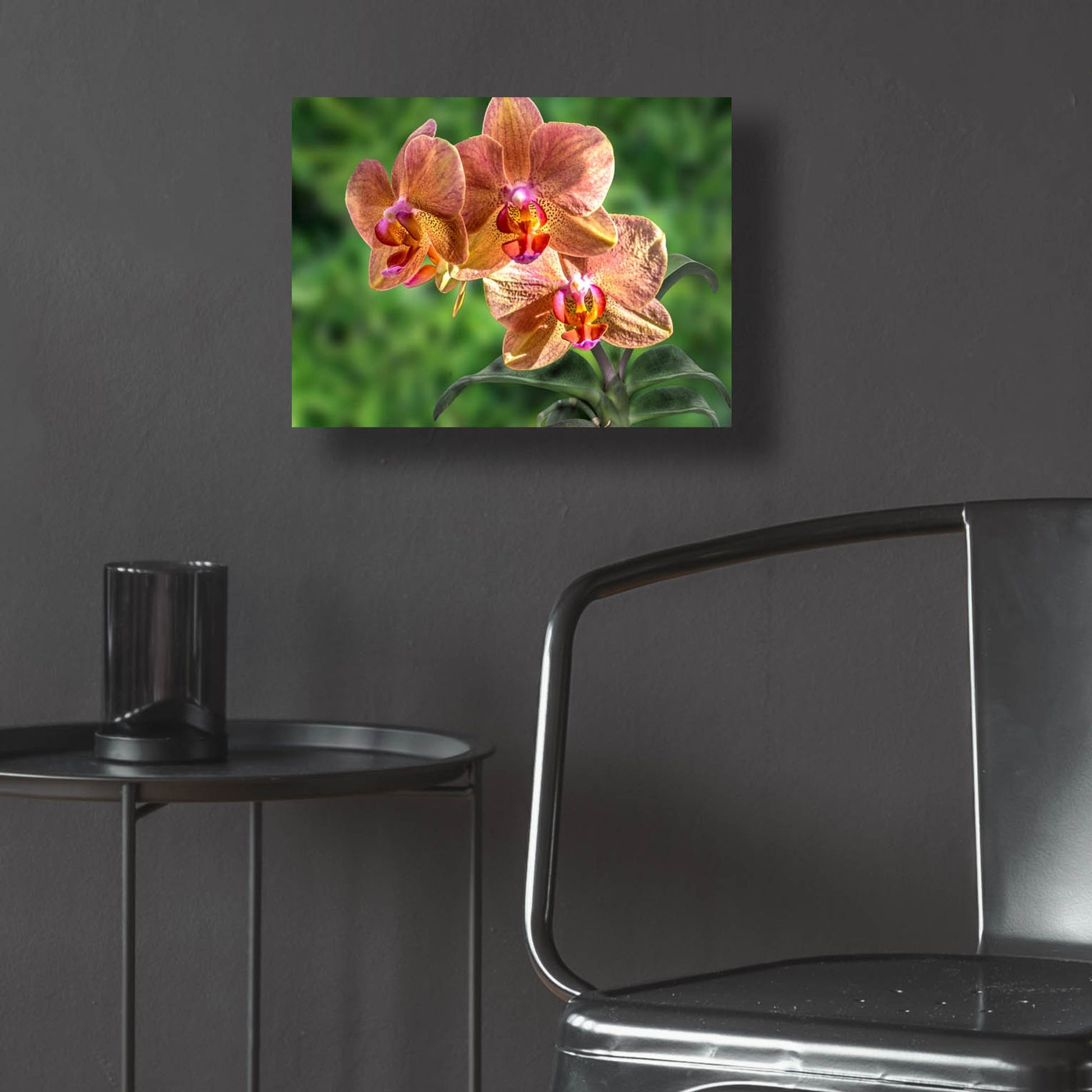 Epic Art ' Orange Orchid' by Don Spears, Acrylic Glass Wall Art,16x12