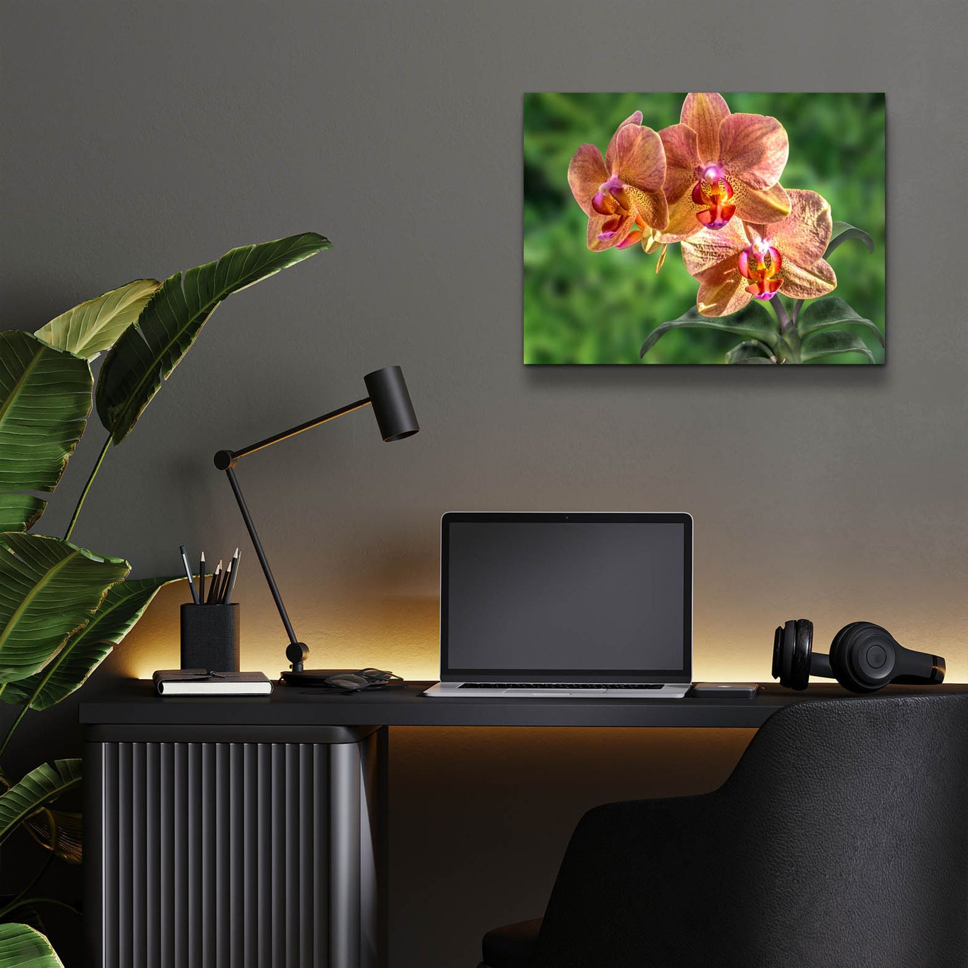 Epic Art ' Orange Orchid' by Don Spears, Acrylic Glass Wall Art,16x12