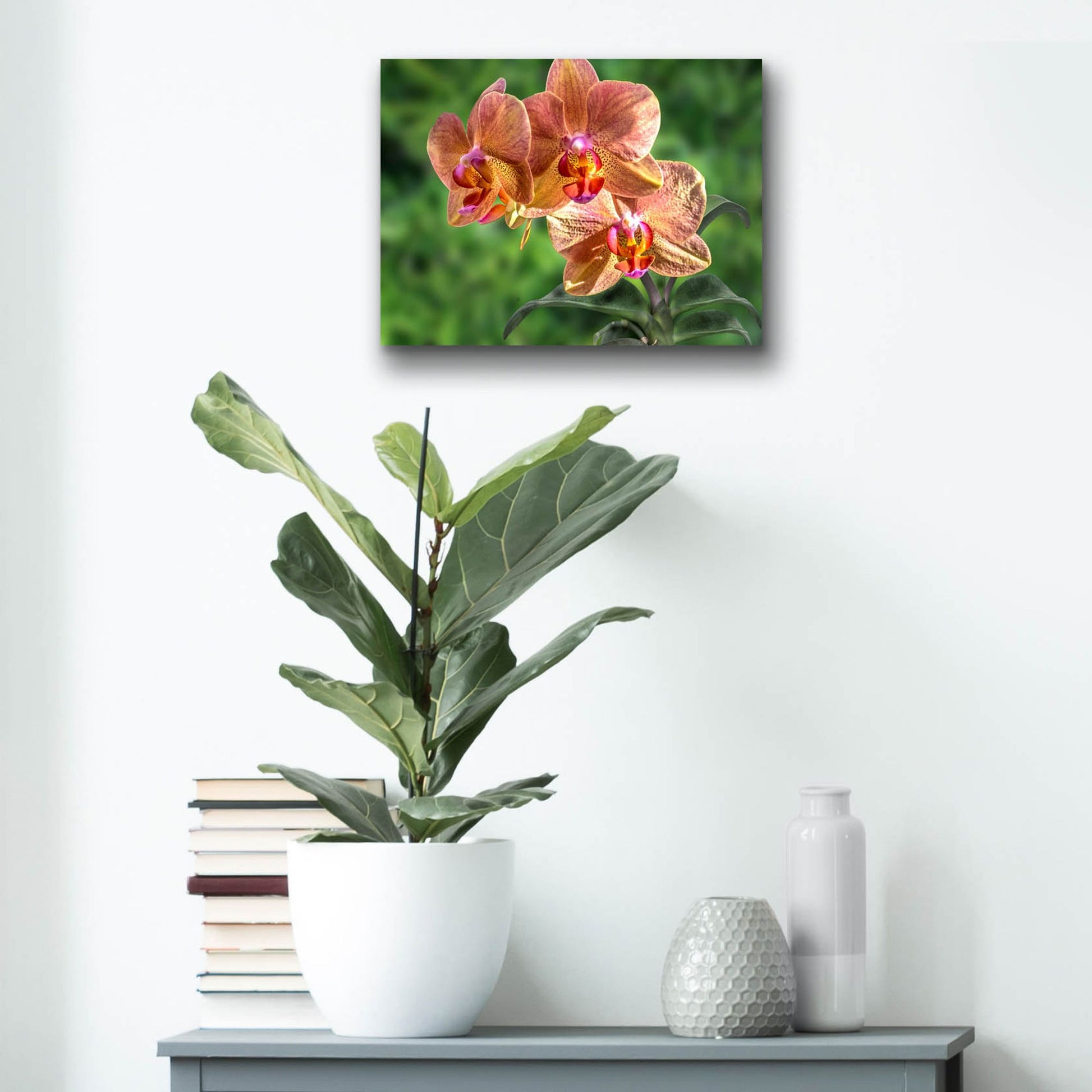 Epic Art ' Orange Orchid' by Don Spears, Acrylic Glass Wall Art,16x12