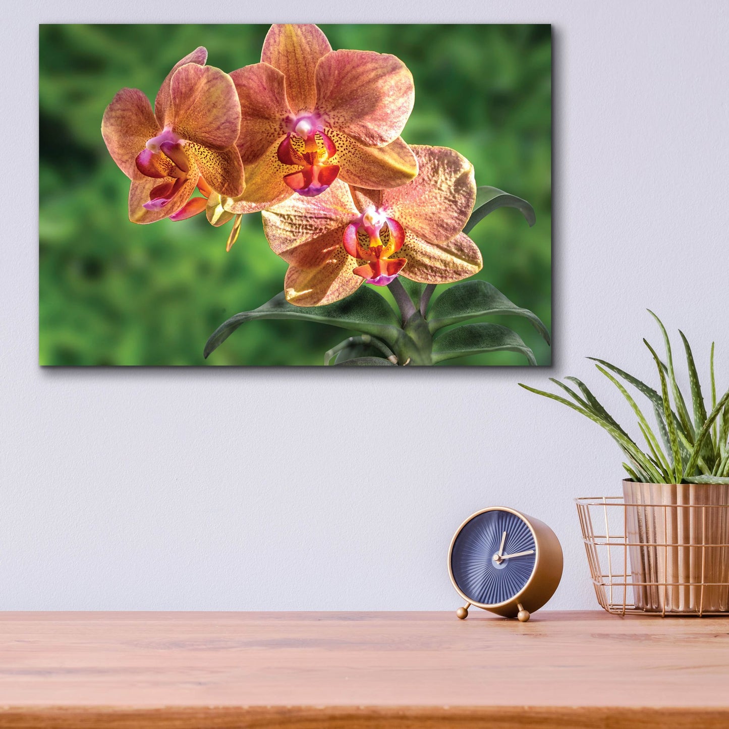 Epic Art ' Orange Orchid' by Don Spears, Acrylic Glass Wall Art,16x12