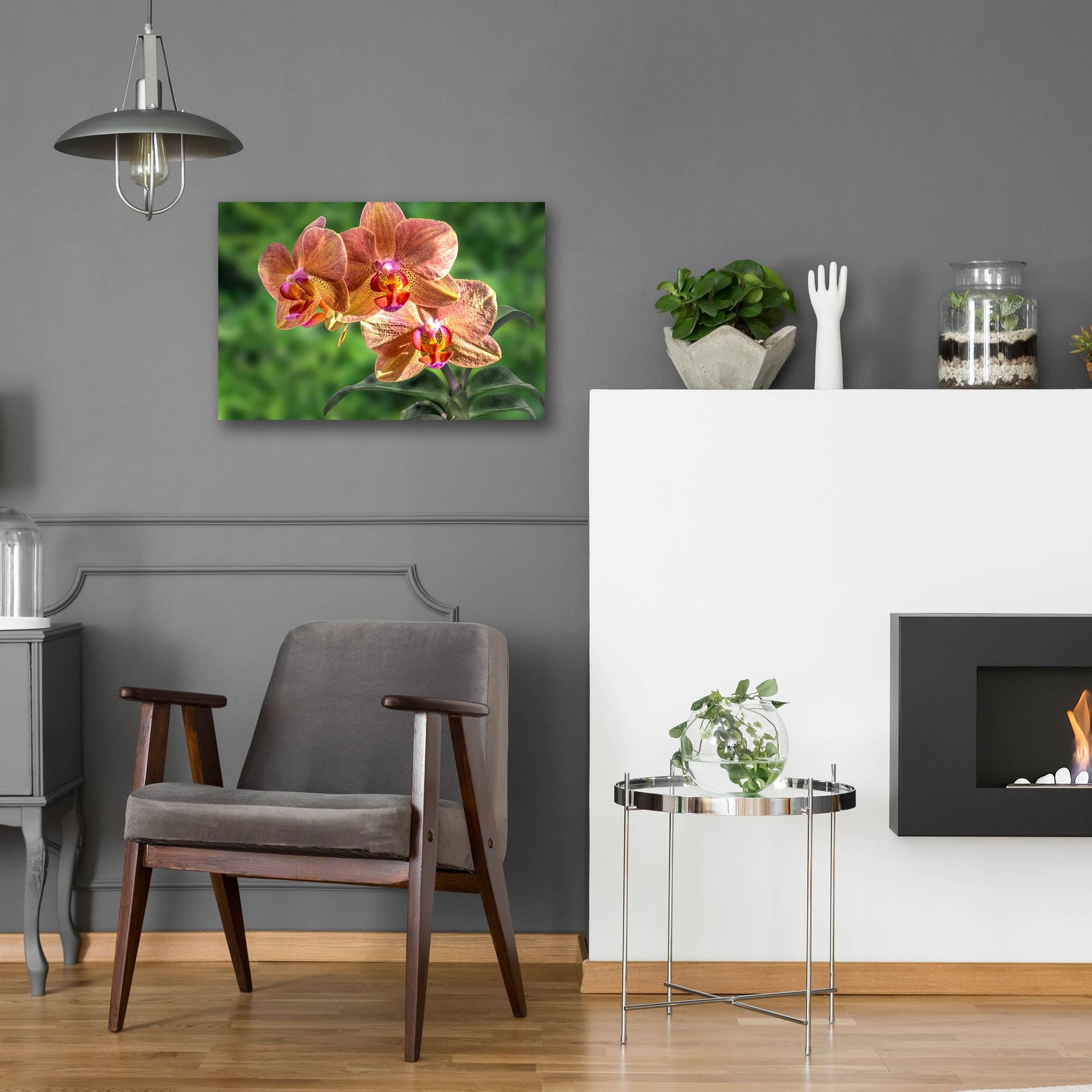 Epic Art ' Orange Orchid' by Don Spears, Acrylic Glass Wall Art,24x16