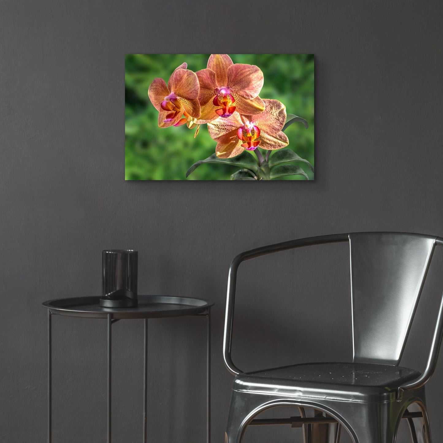 Epic Art ' Orange Orchid' by Don Spears, Acrylic Glass Wall Art,24x16