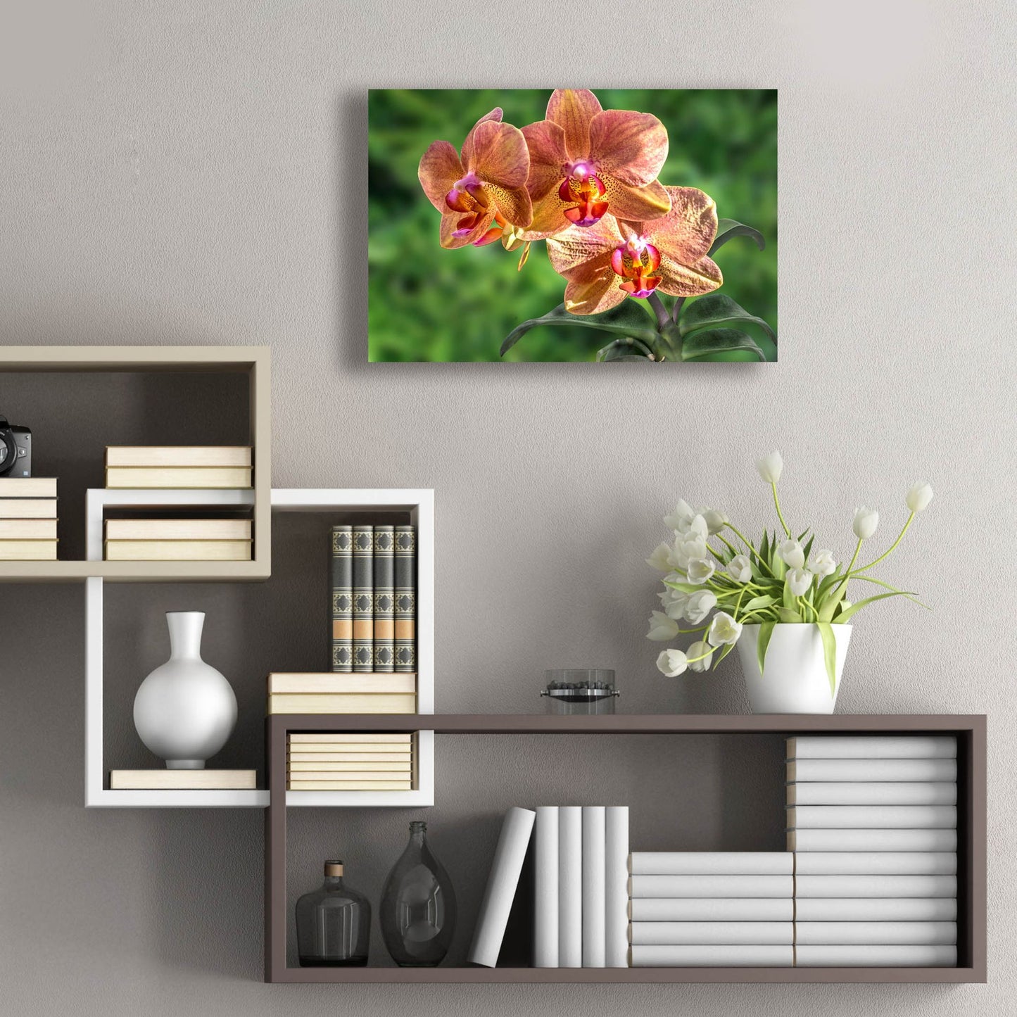 Epic Art ' Orange Orchid' by Don Spears, Acrylic Glass Wall Art,24x16