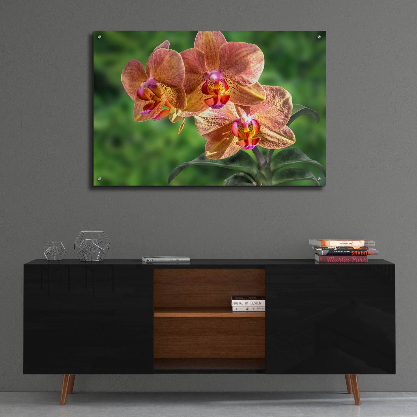 Epic Art ' Orange Orchid' by Don Spears, Acrylic Glass Wall Art,36x24