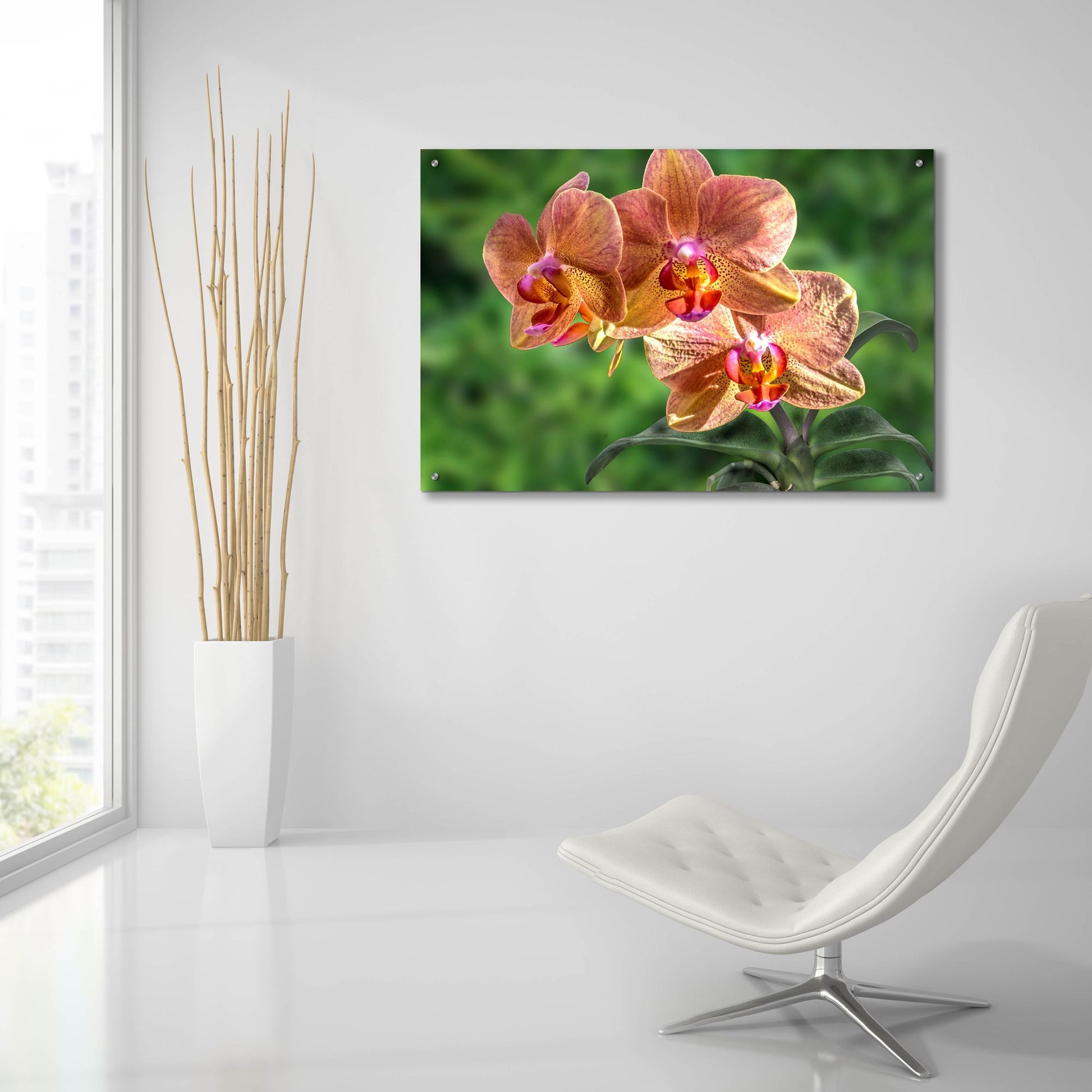 Epic Art ' Orange Orchid' by Don Spears, Acrylic Glass Wall Art,36x24