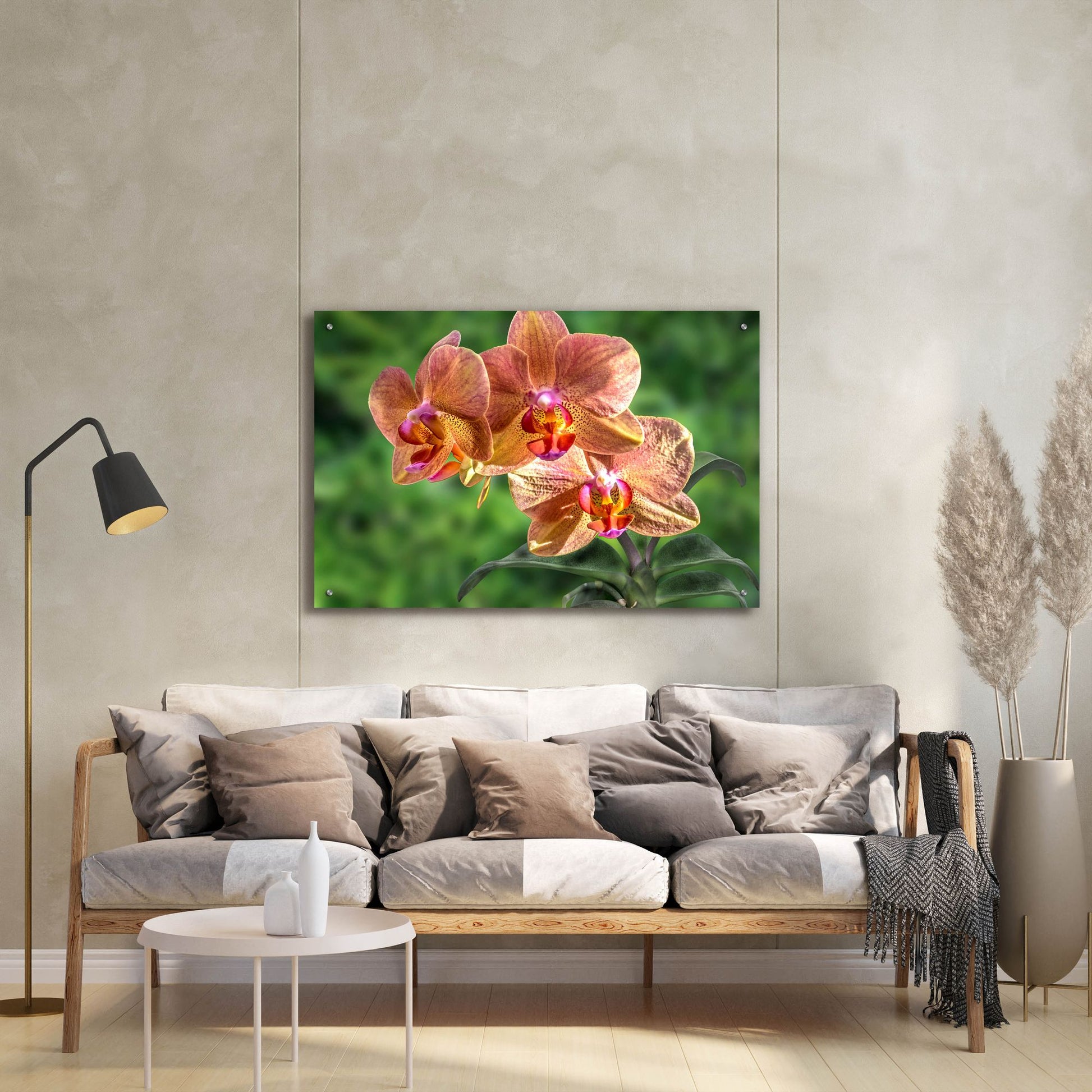 Epic Art ' Orange Orchid' by Don Spears, Acrylic Glass Wall Art,36x24