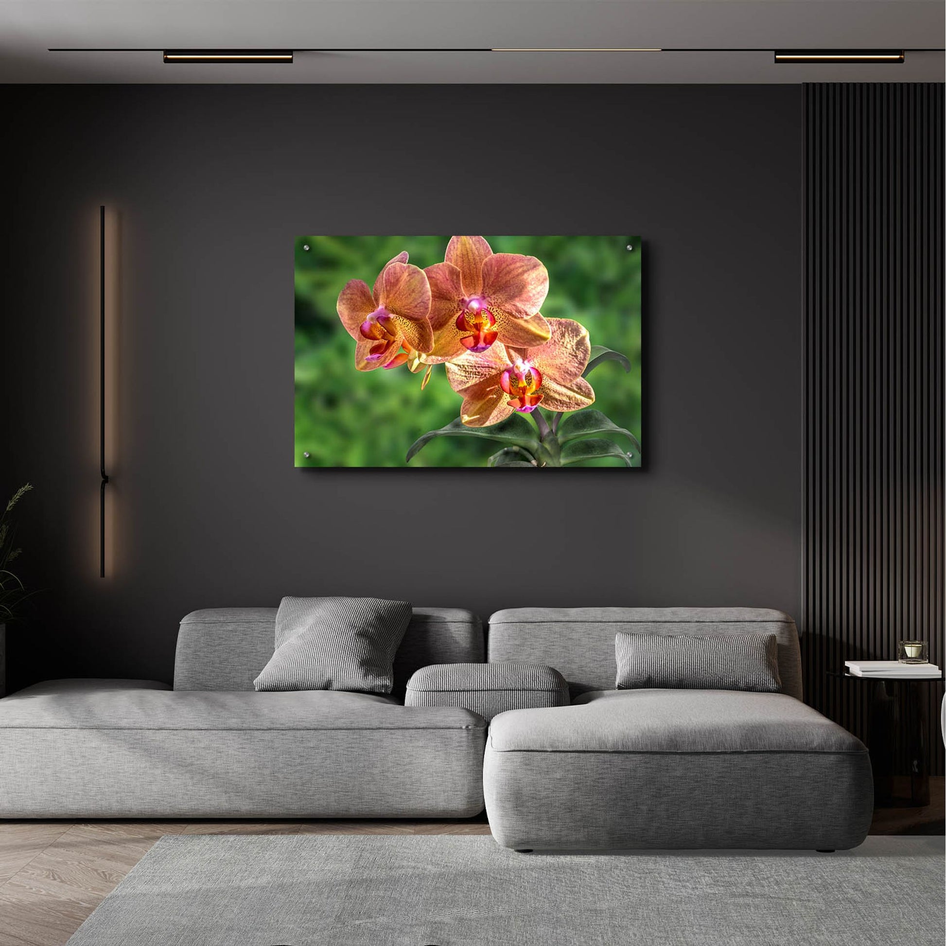 Epic Art ' Orange Orchid' by Don Spears, Acrylic Glass Wall Art,36x24