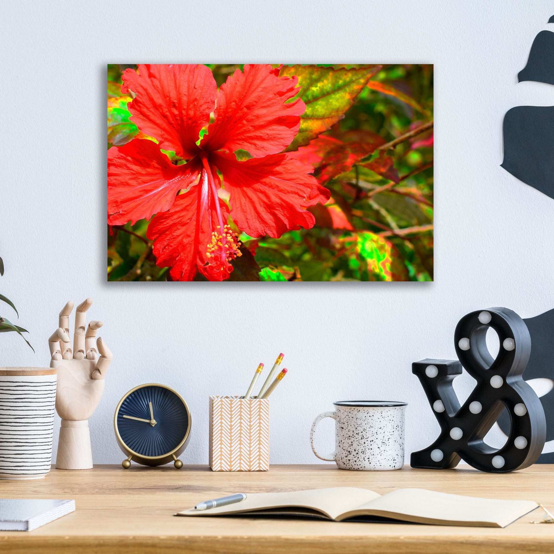 Epic Art ' Red Hibiscus' by Don Spears, Acrylic Glass Wall Art,16x12