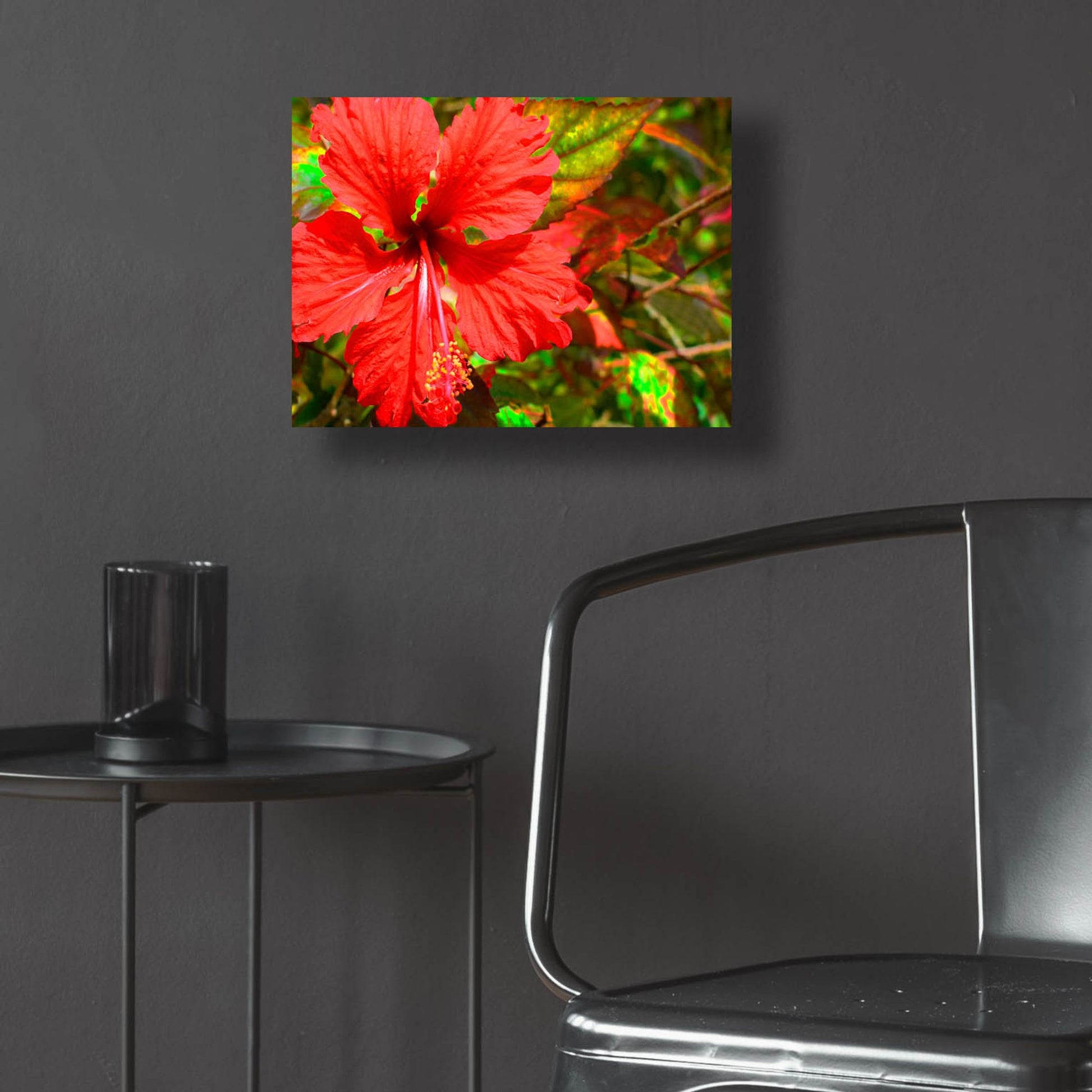 Epic Art ' Red Hibiscus' by Don Spears, Acrylic Glass Wall Art,16x12