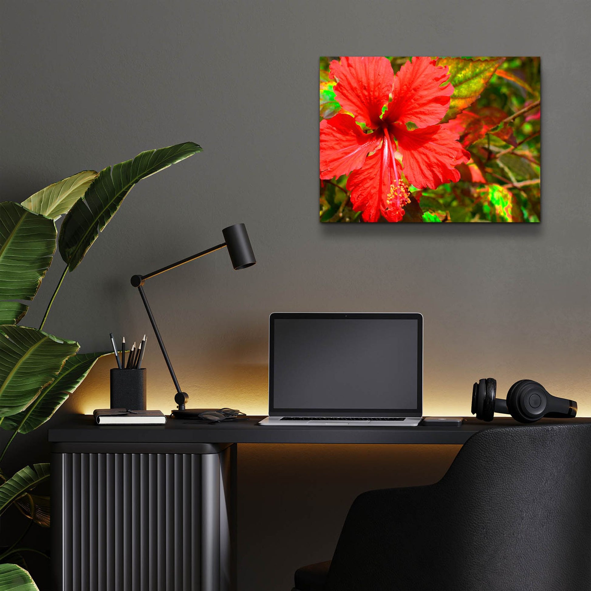 Epic Art ' Red Hibiscus' by Don Spears, Acrylic Glass Wall Art,16x12