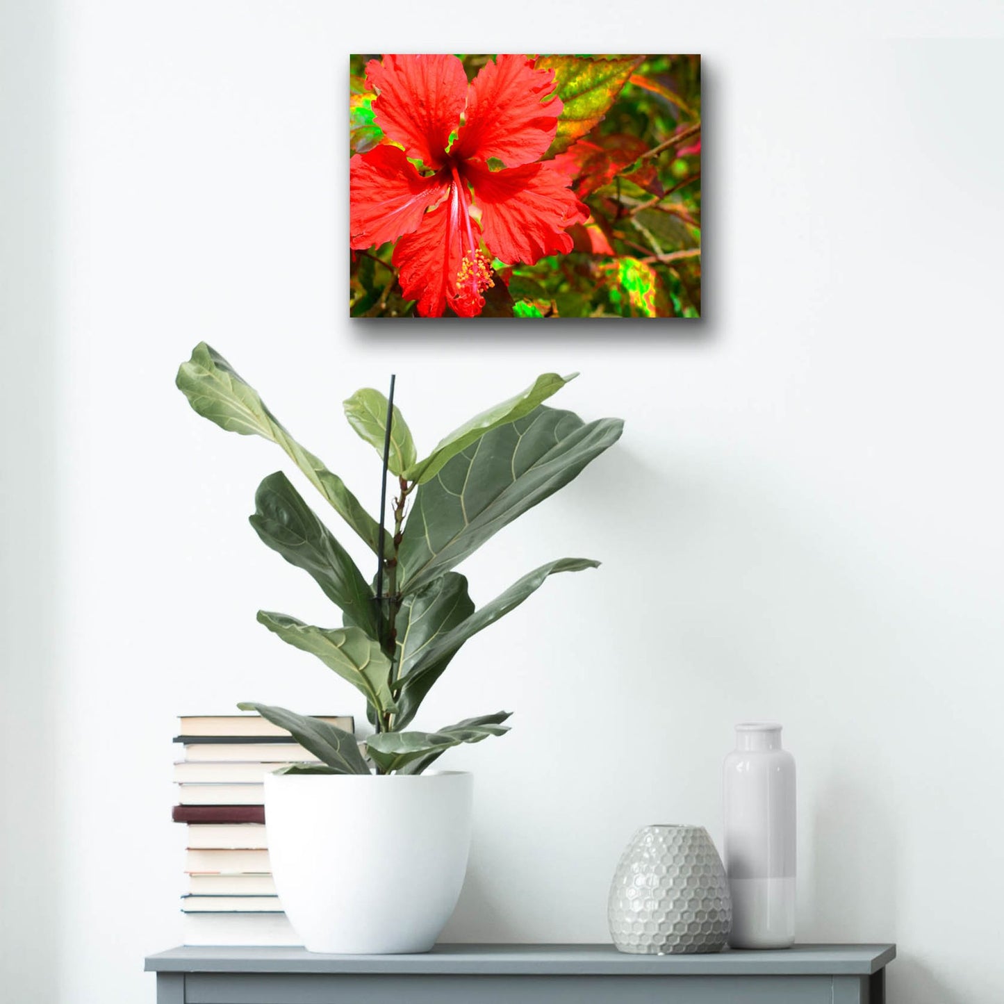 Epic Art ' Red Hibiscus' by Don Spears, Acrylic Glass Wall Art,16x12