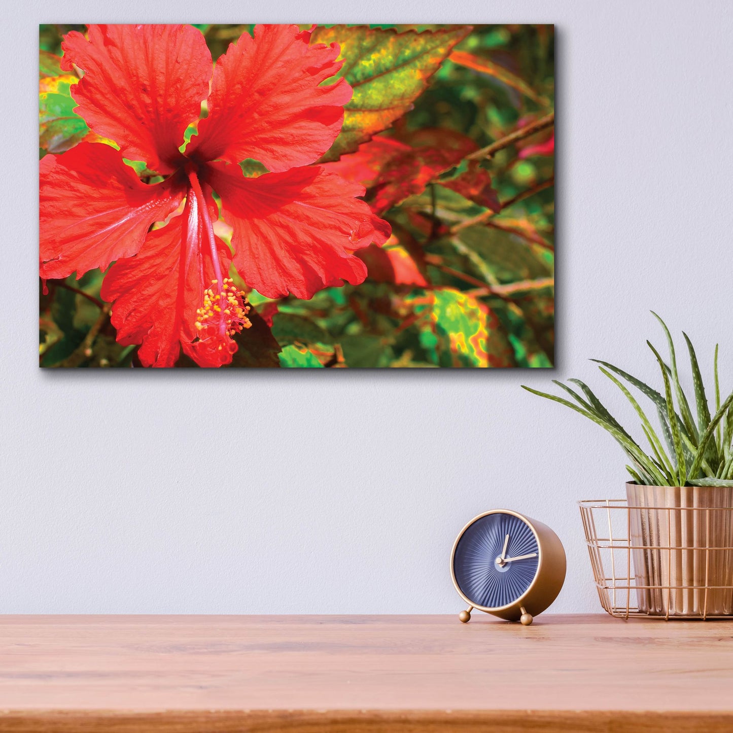 Epic Art ' Red Hibiscus' by Don Spears, Acrylic Glass Wall Art,16x12