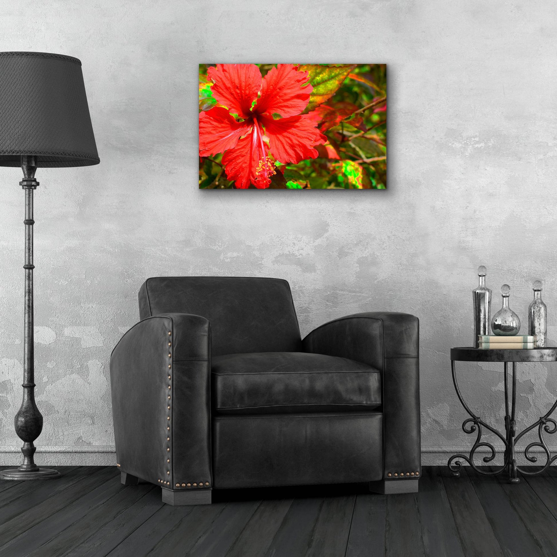 Epic Art ' Red Hibiscus' by Don Spears, Acrylic Glass Wall Art,24x16