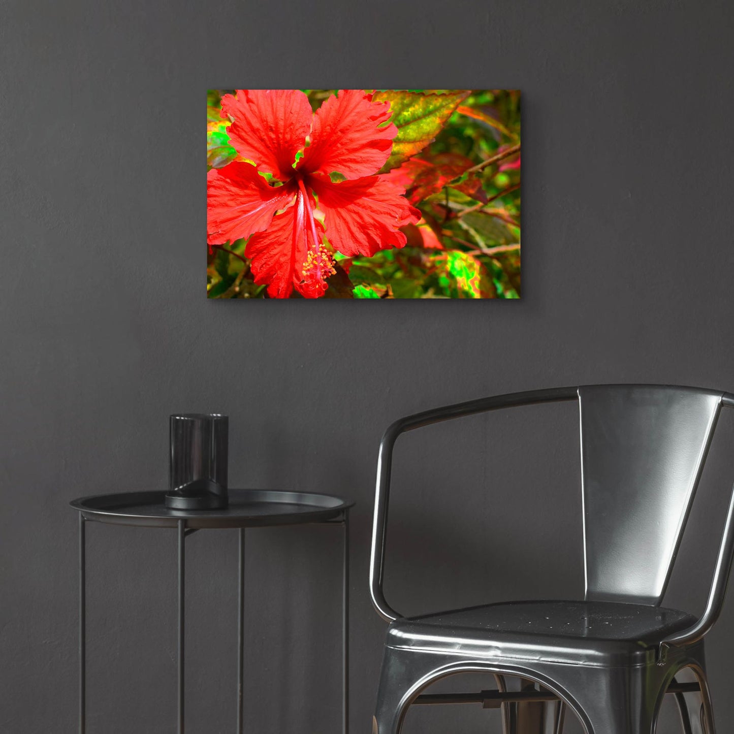 Epic Art ' Red Hibiscus' by Don Spears, Acrylic Glass Wall Art,24x16