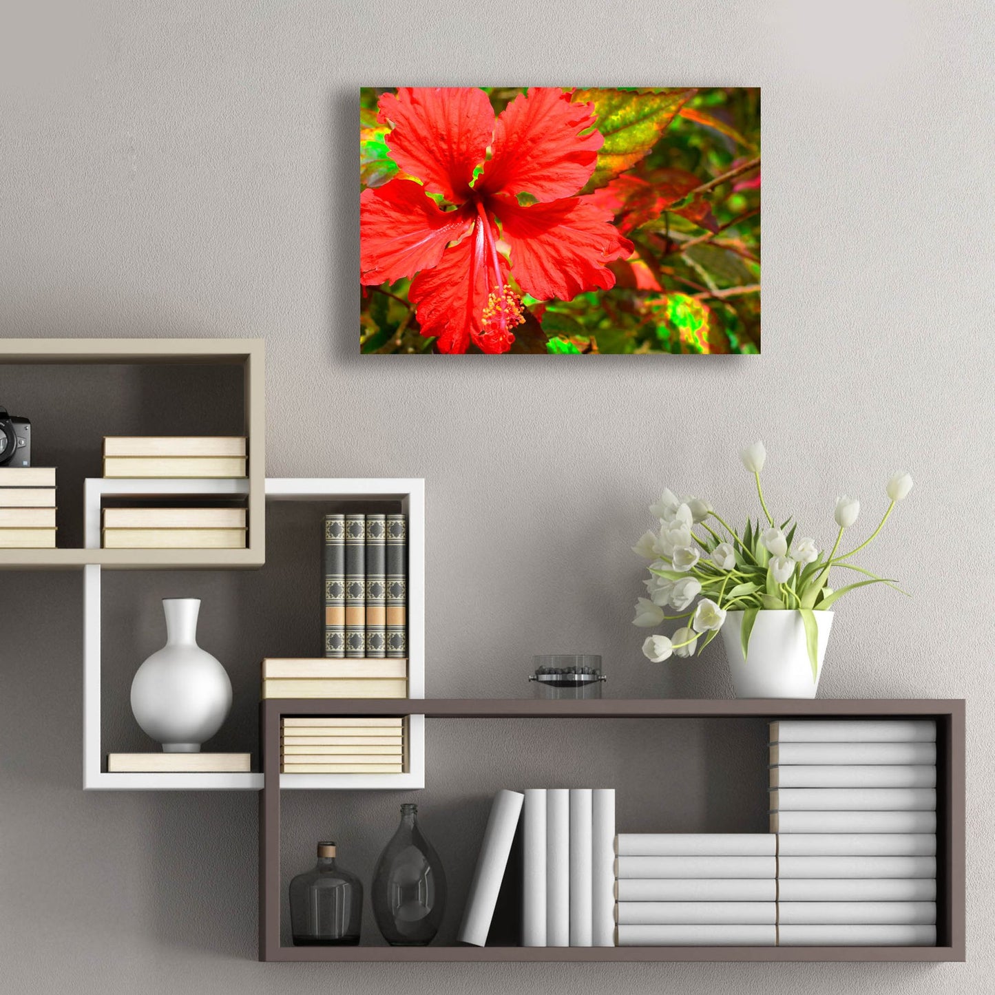 Epic Art ' Red Hibiscus' by Don Spears, Acrylic Glass Wall Art,24x16