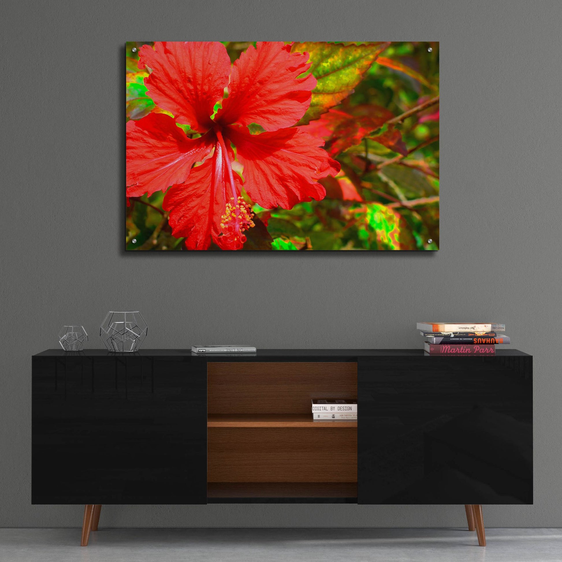 Epic Art ' Red Hibiscus' by Don Spears, Acrylic Glass Wall Art,36x24