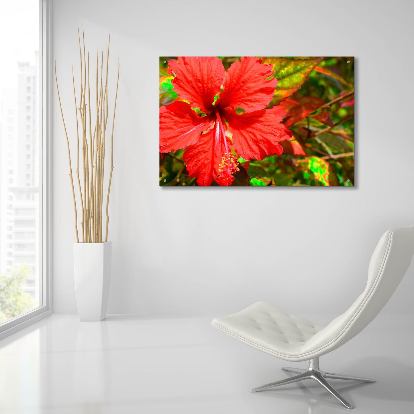 Epic Art ' Red Hibiscus' by Don Spears, Acrylic Glass Wall Art,36x24