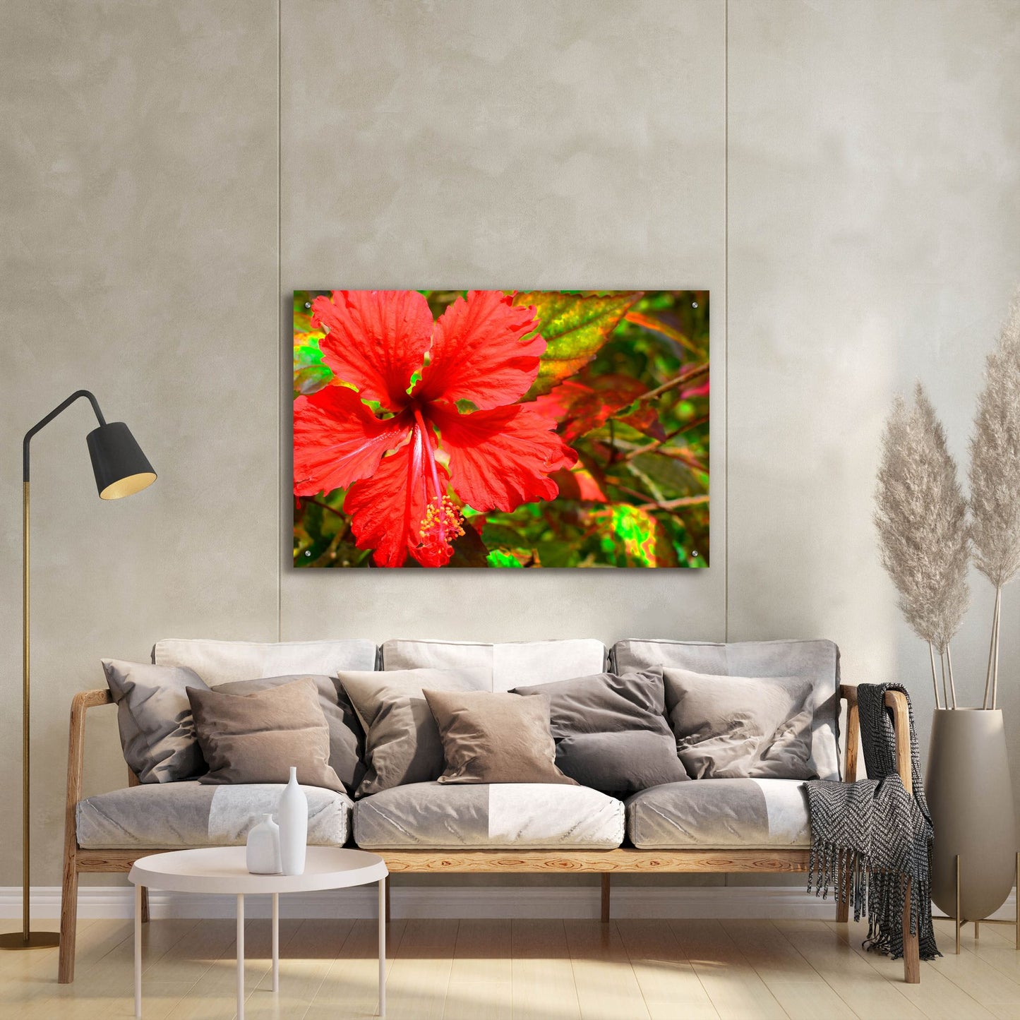 Epic Art ' Red Hibiscus' by Don Spears, Acrylic Glass Wall Art,36x24